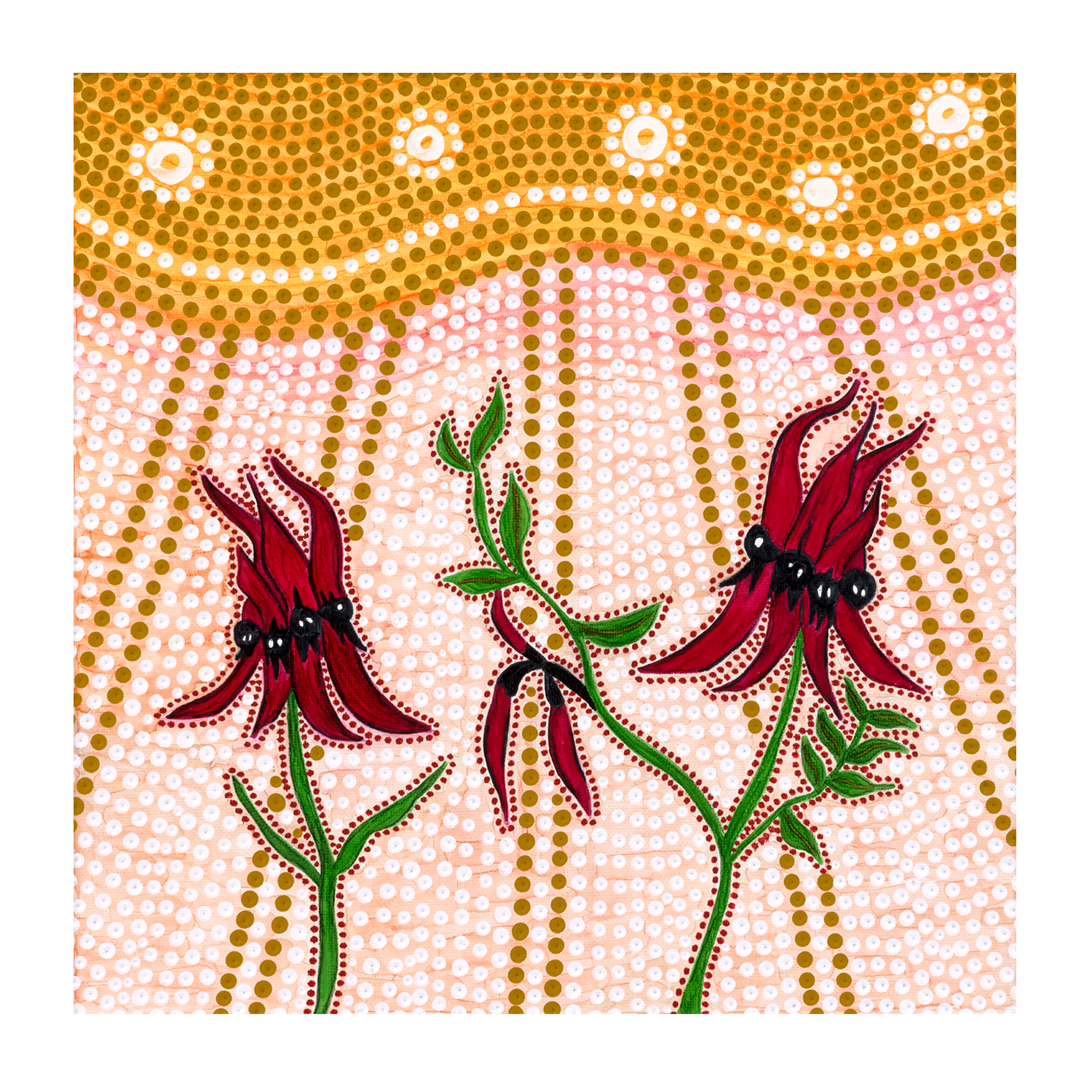 Sturts Desert Peas , By Domica Hill