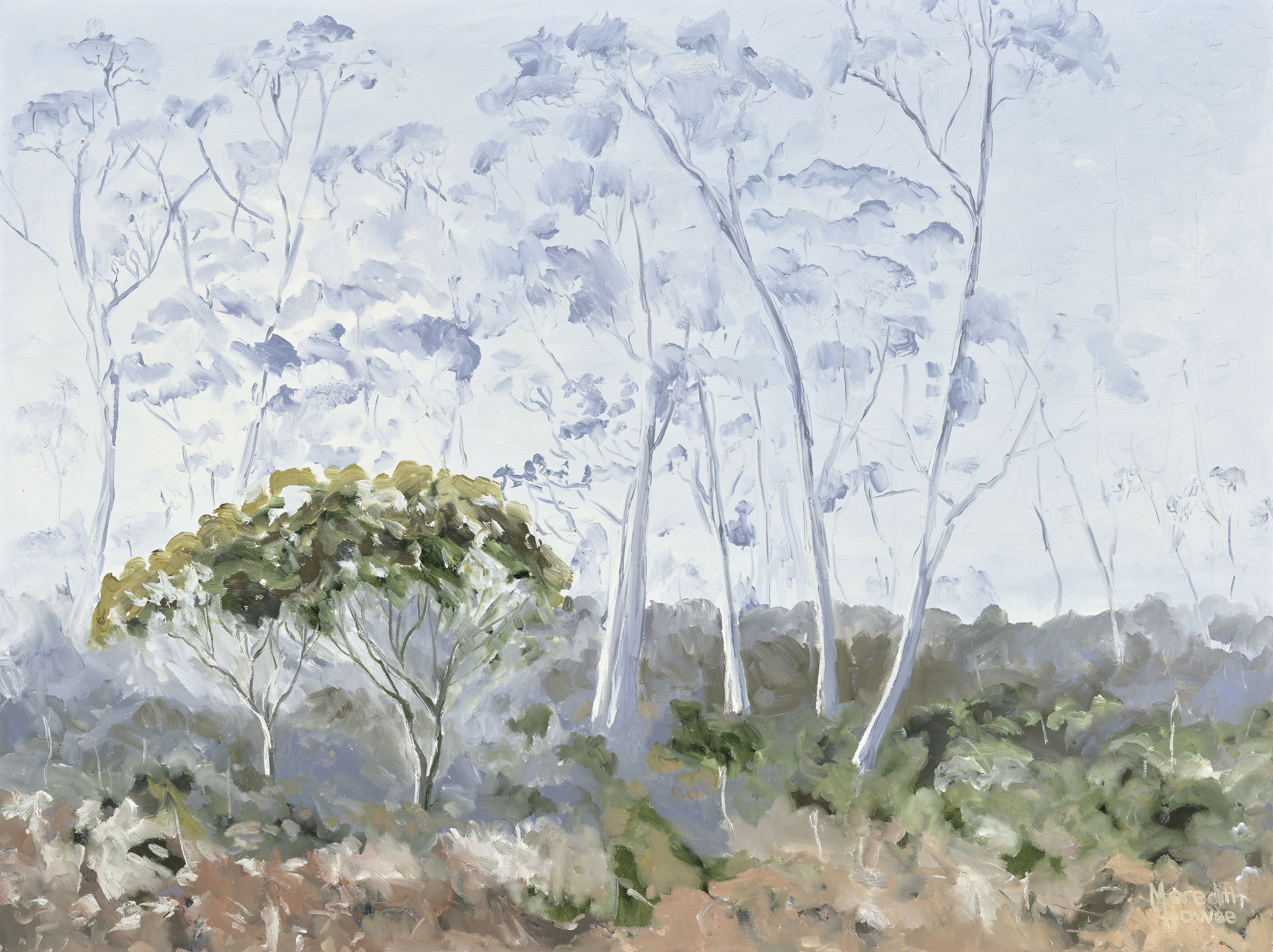 Middlesex Plains, Tasmania, Original Hand-Painted Canvas By Meredith Howse