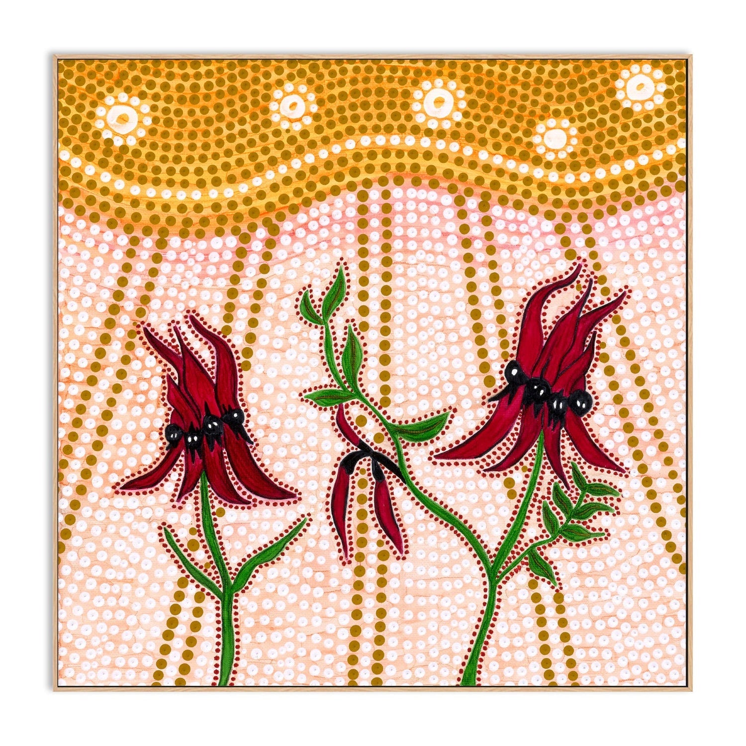 Sturts Desert Peas , By Domica Hill