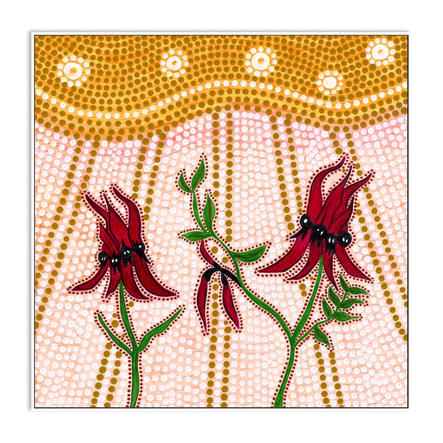 Sturts Desert Peas , By Domica Hill