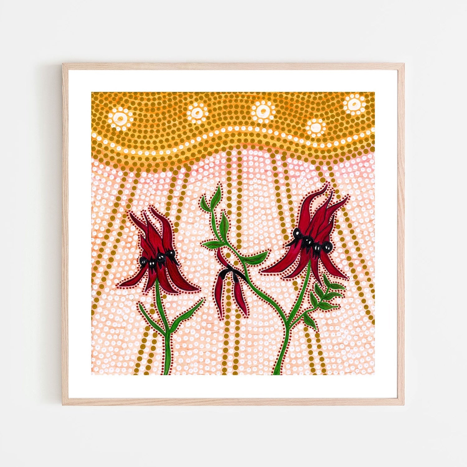 Sturts Desert Peas , By Domica Hill