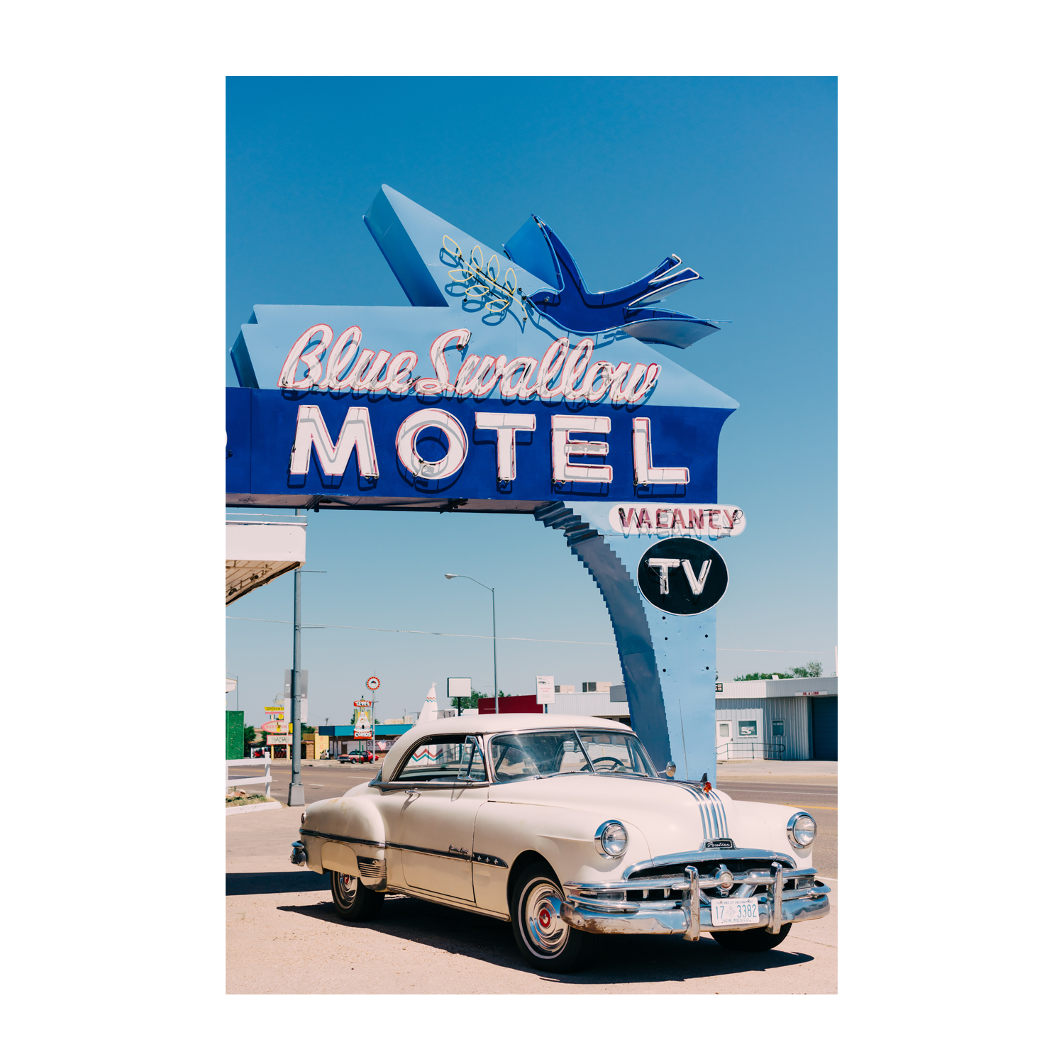 Blue Swallow Motel , By Bethany Young