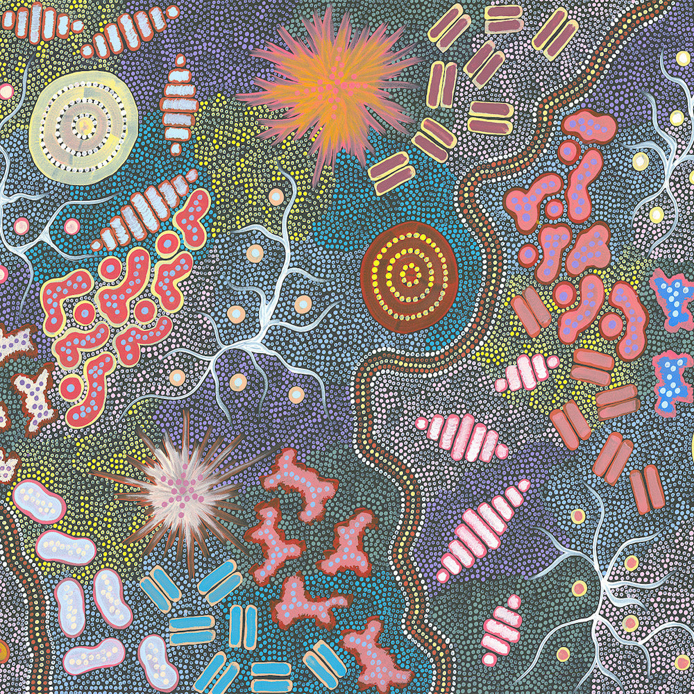 Waterhole Bush Tucker Dreaming, Acrylic on Canvas, 68x170cm, By Azeza Possum