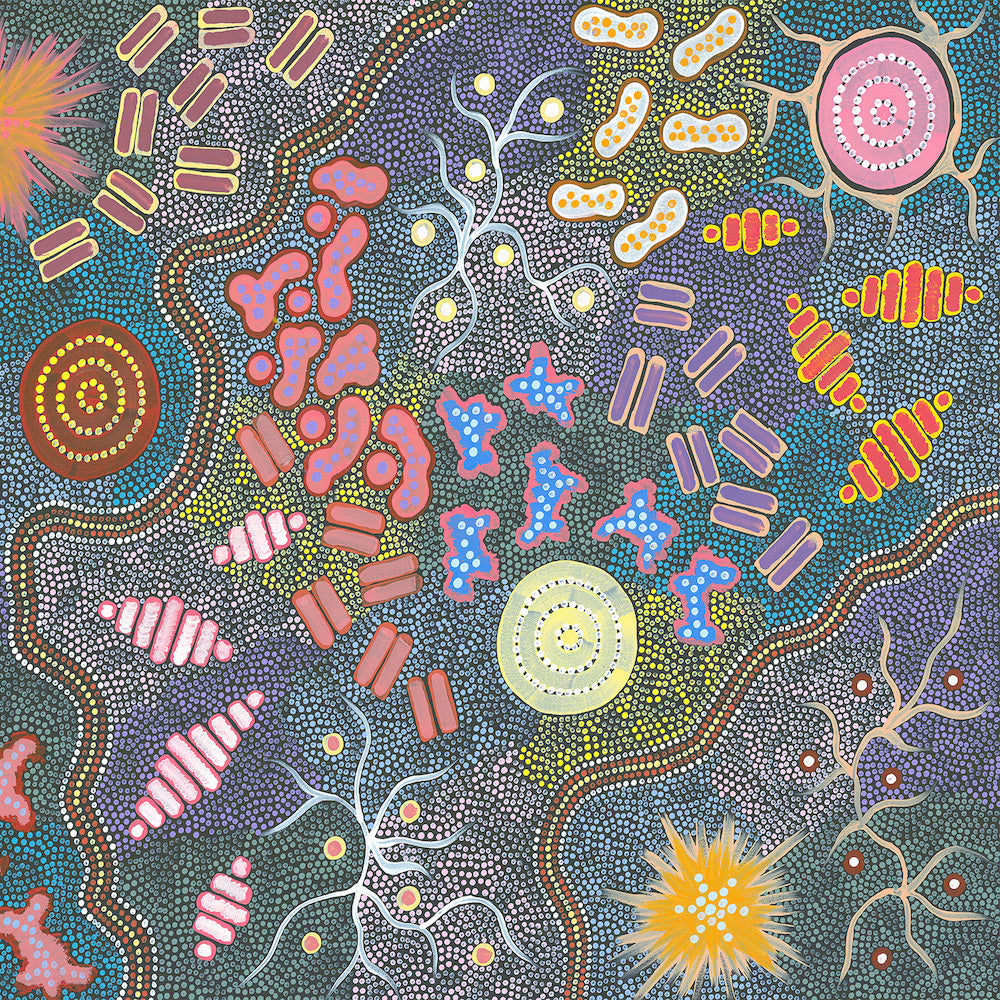 Waterhole Bush Tucker Dreaming, Acrylic on Canvas, 68x170cm, By Azeza Possum