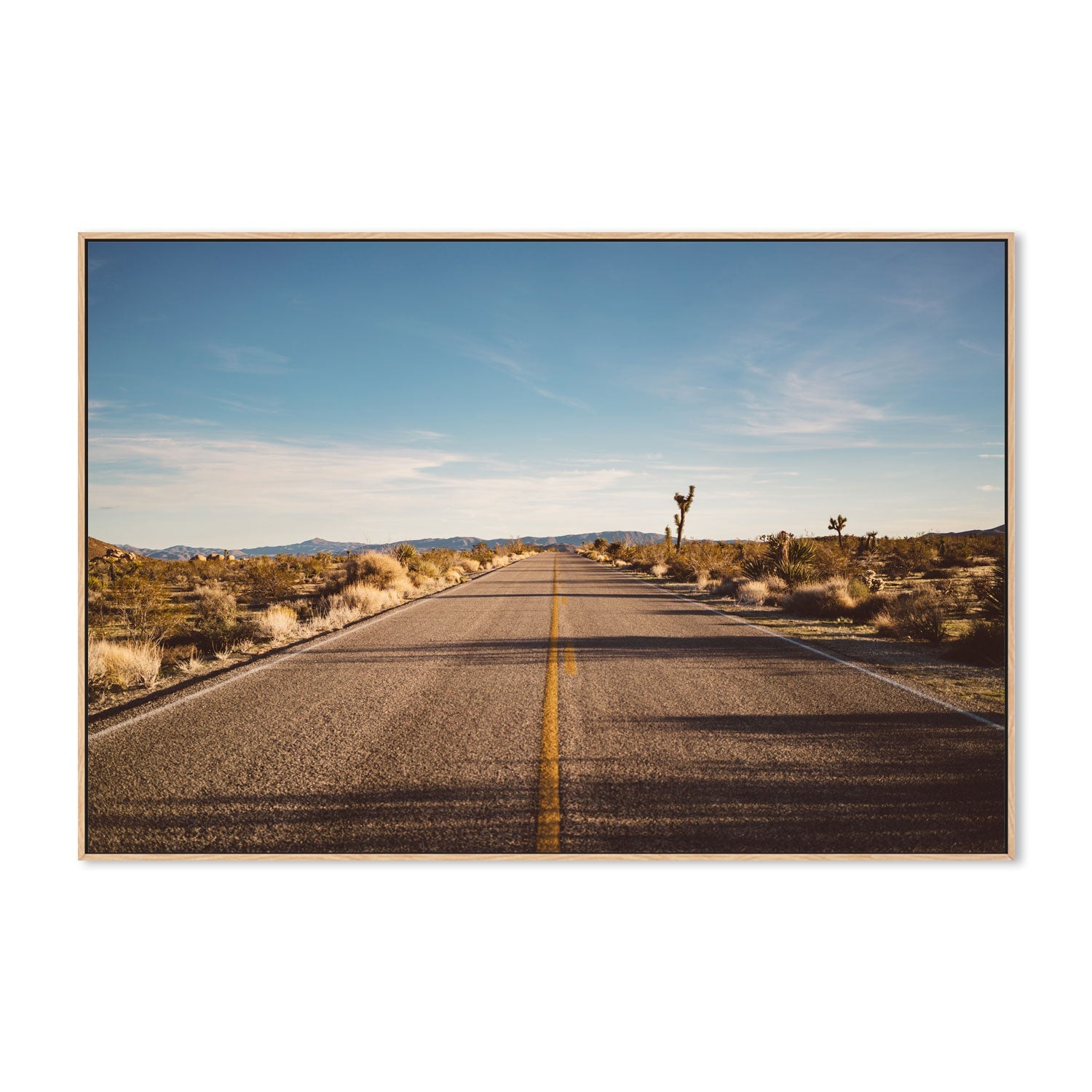 Joshua Tree Road , By Bethany Young