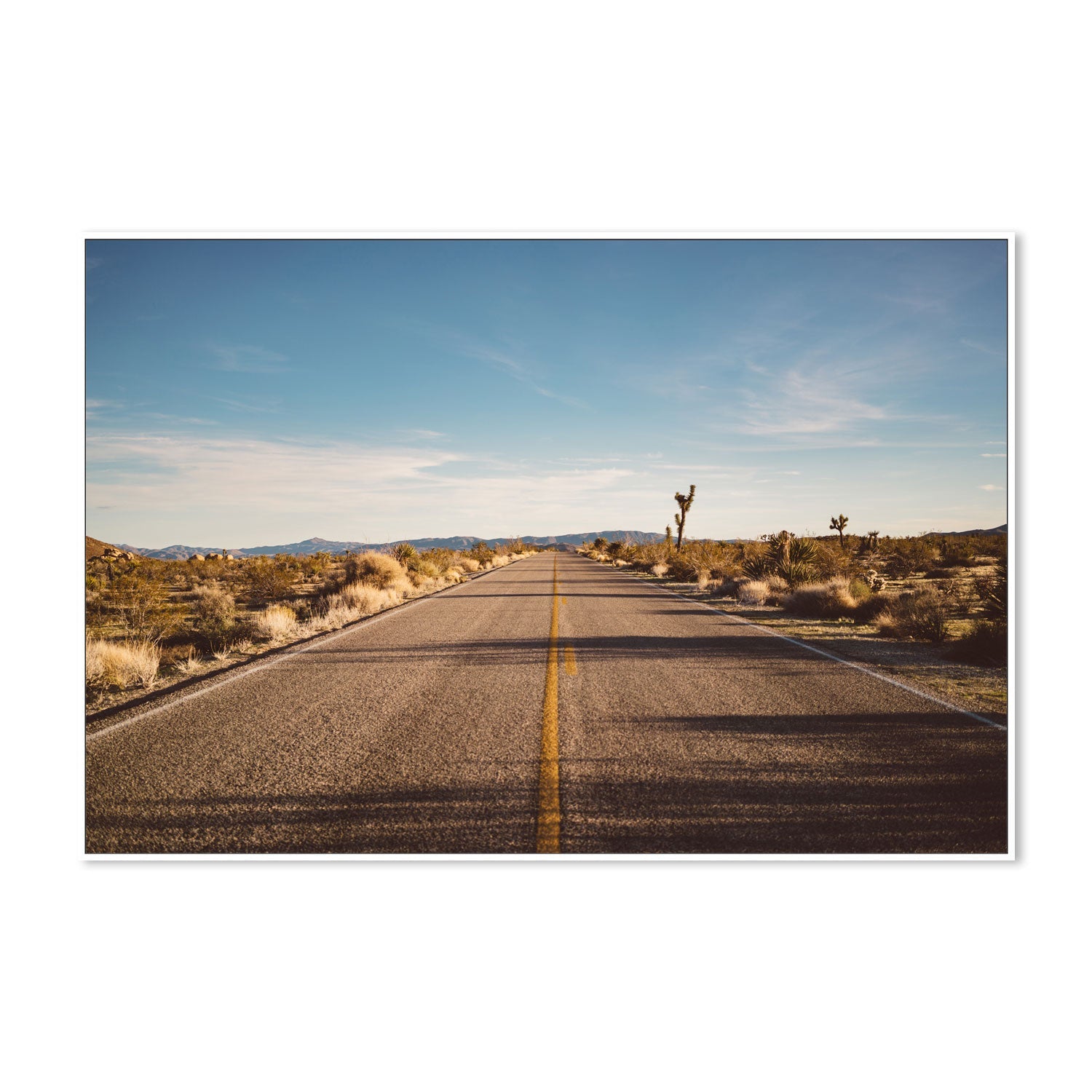 Joshua Tree Road , By Bethany Young