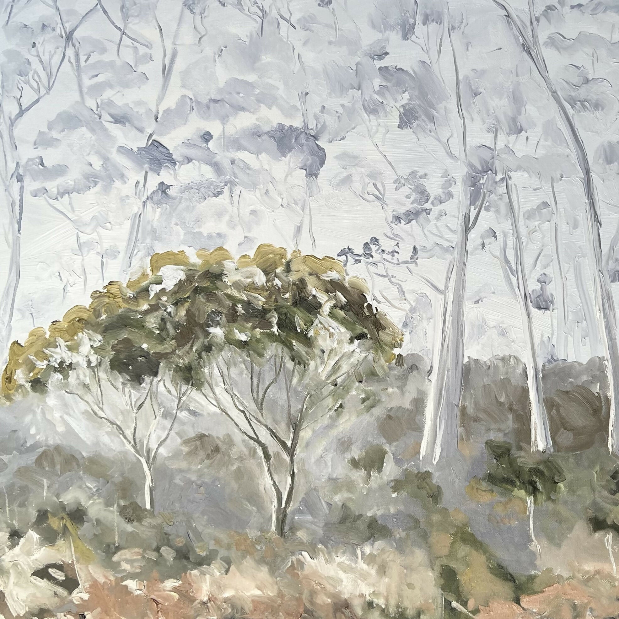 Middlesex Plains, Tasmania, Original Hand-Painted Canvas By Meredith Howse