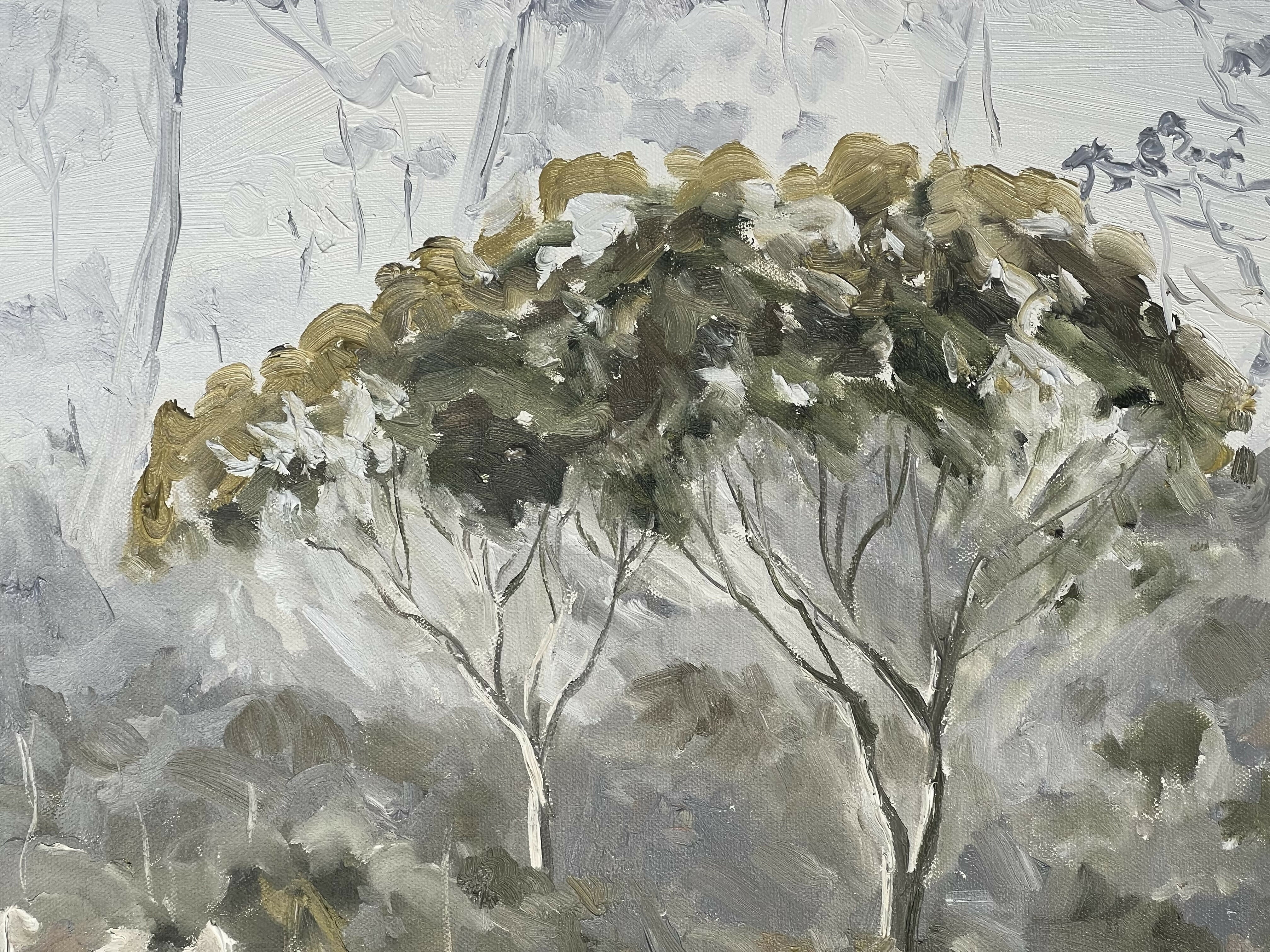 Middlesex Plains, Tasmania, Original Hand-Painted Canvas By Meredith Howse