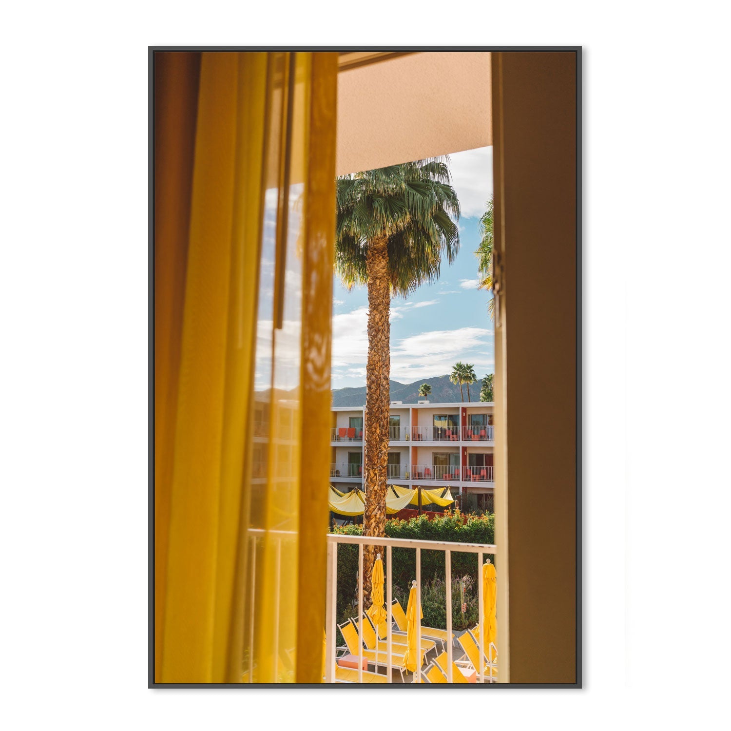 Palm Springs Dreams , By Bethany Young