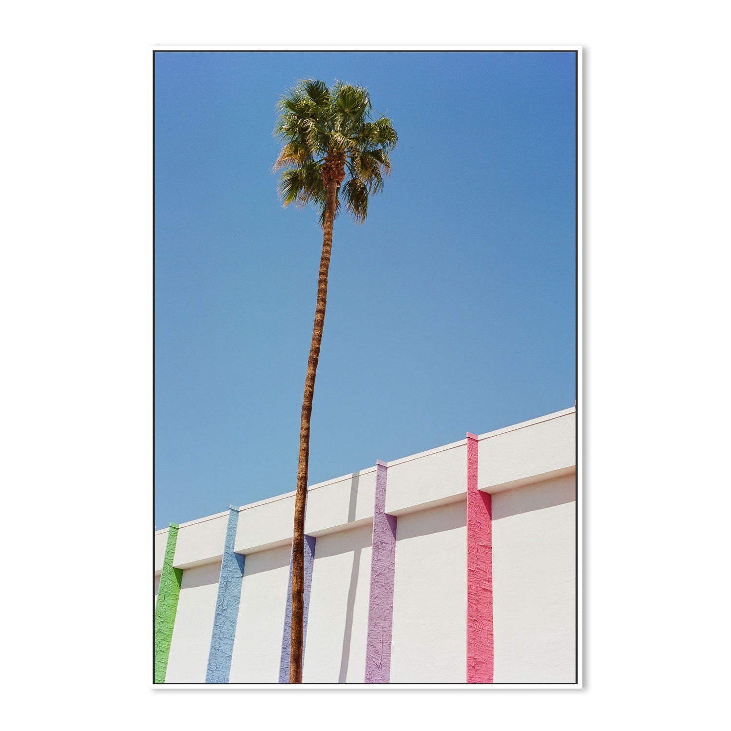 Palm Springs II , By Bethany Young