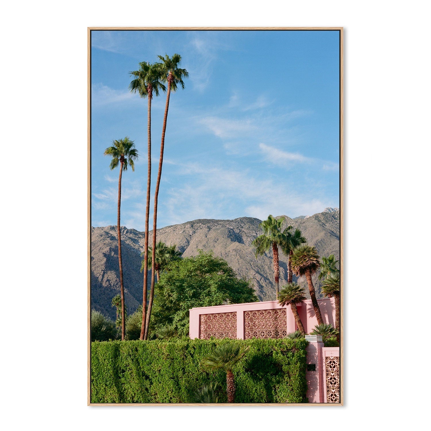 Palm Springs Pink House , By Bethany Young