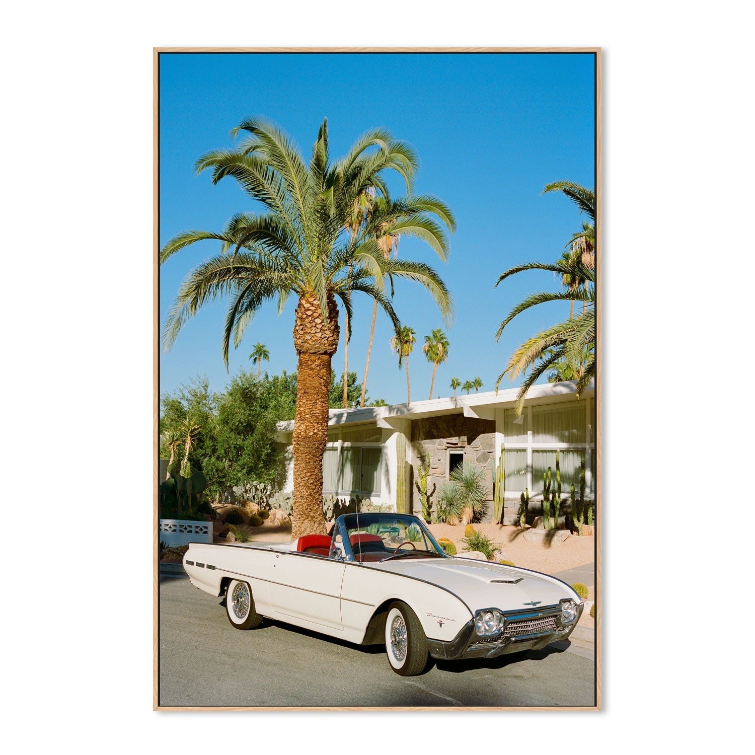 Palm Springs Thunderbird , By Bethany Young