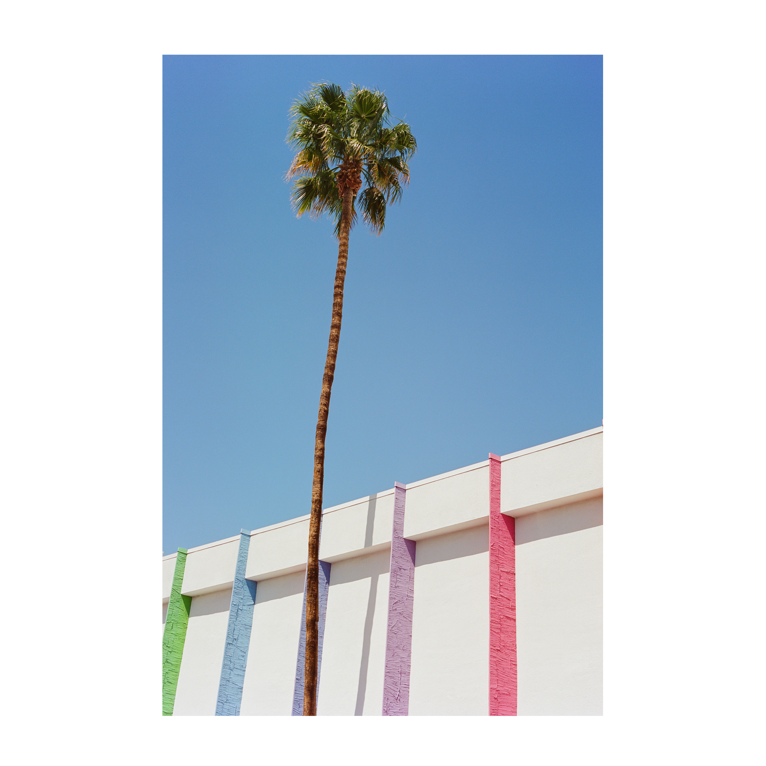 Palm Springs II , By Bethany Young