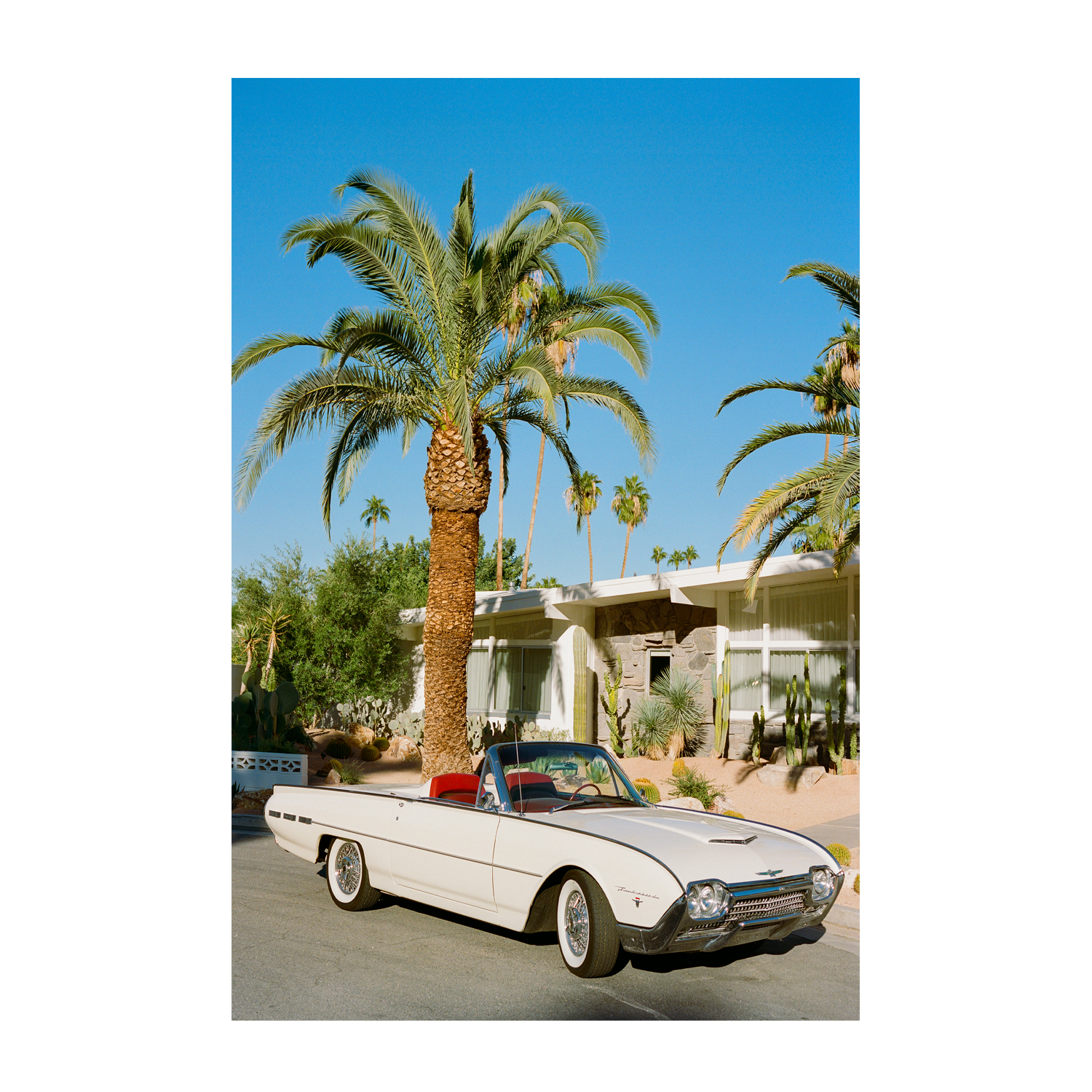 Palm Springs Thunderbird , By Bethany Young