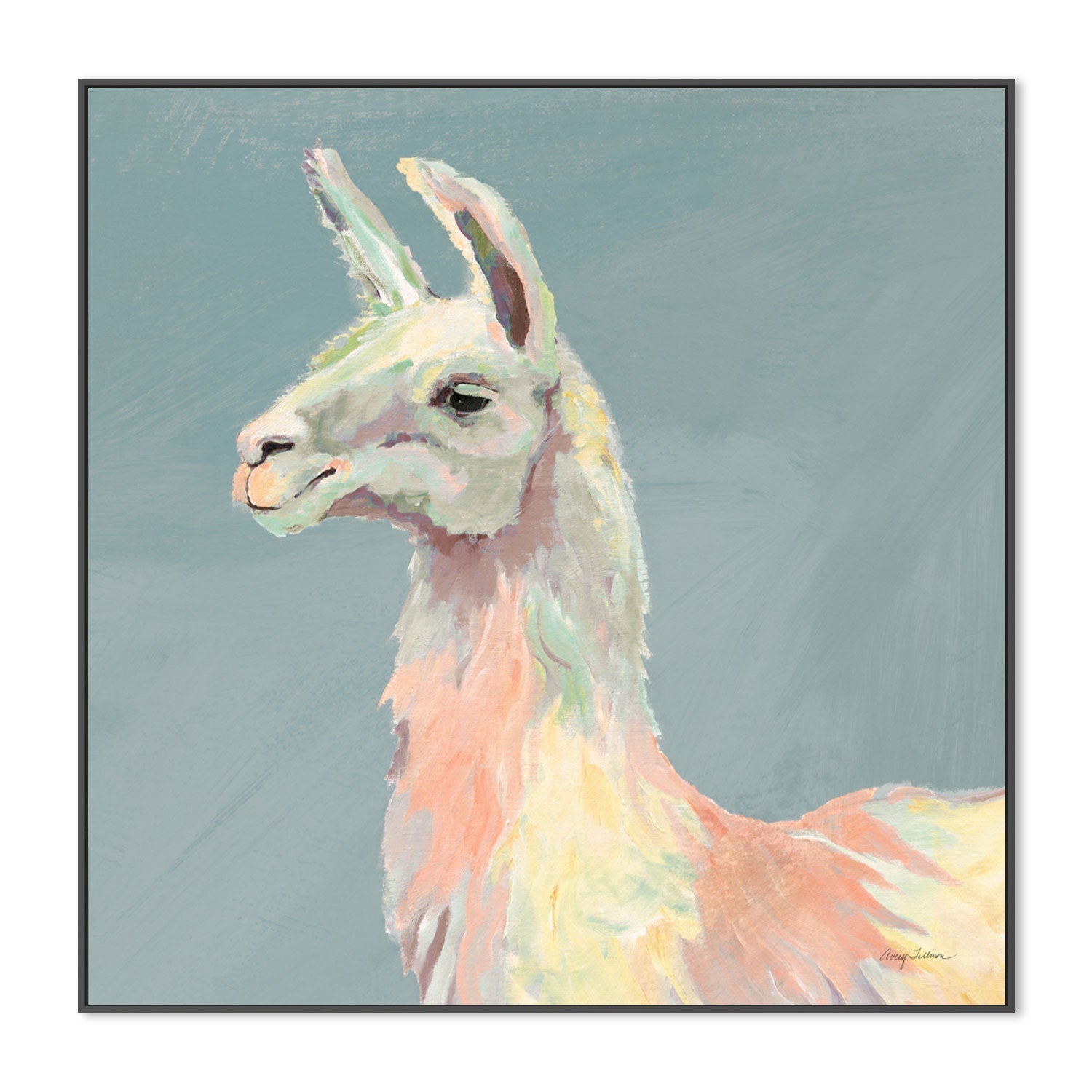 Pastel Llama, Style C , By Avery Tillmon