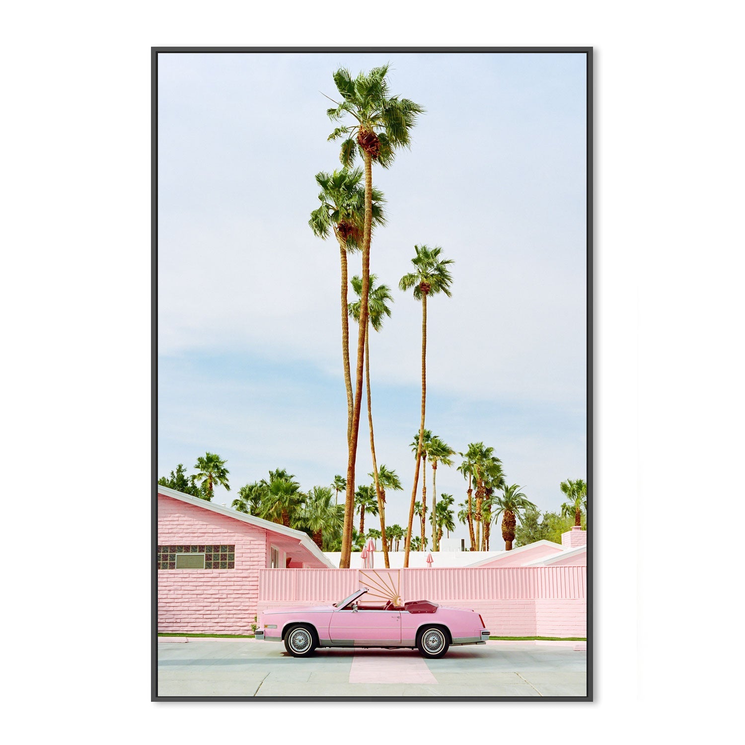 Pink Palm Springs , By Bethany Young