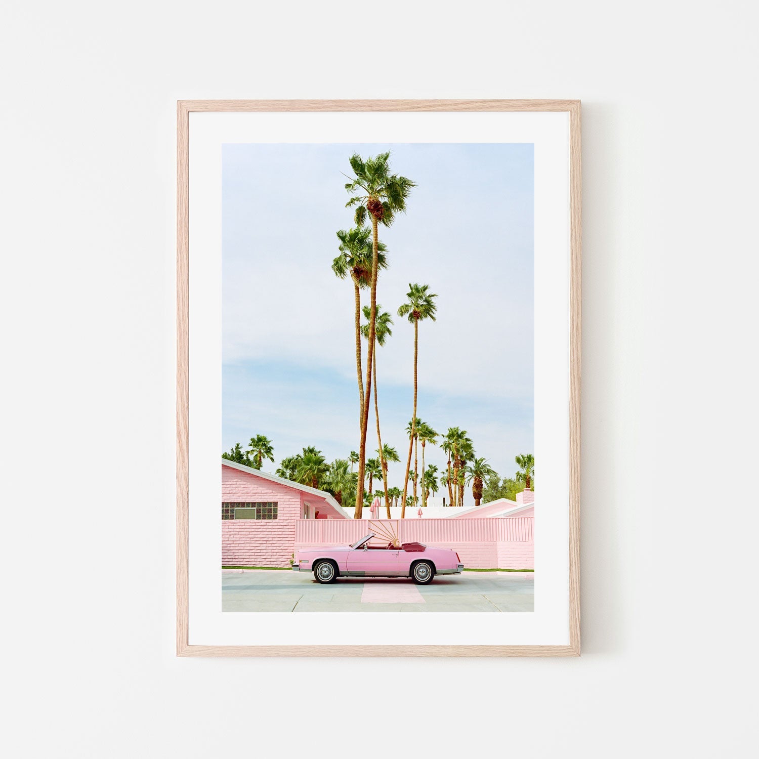 Pink Palm Springs , By Bethany Young