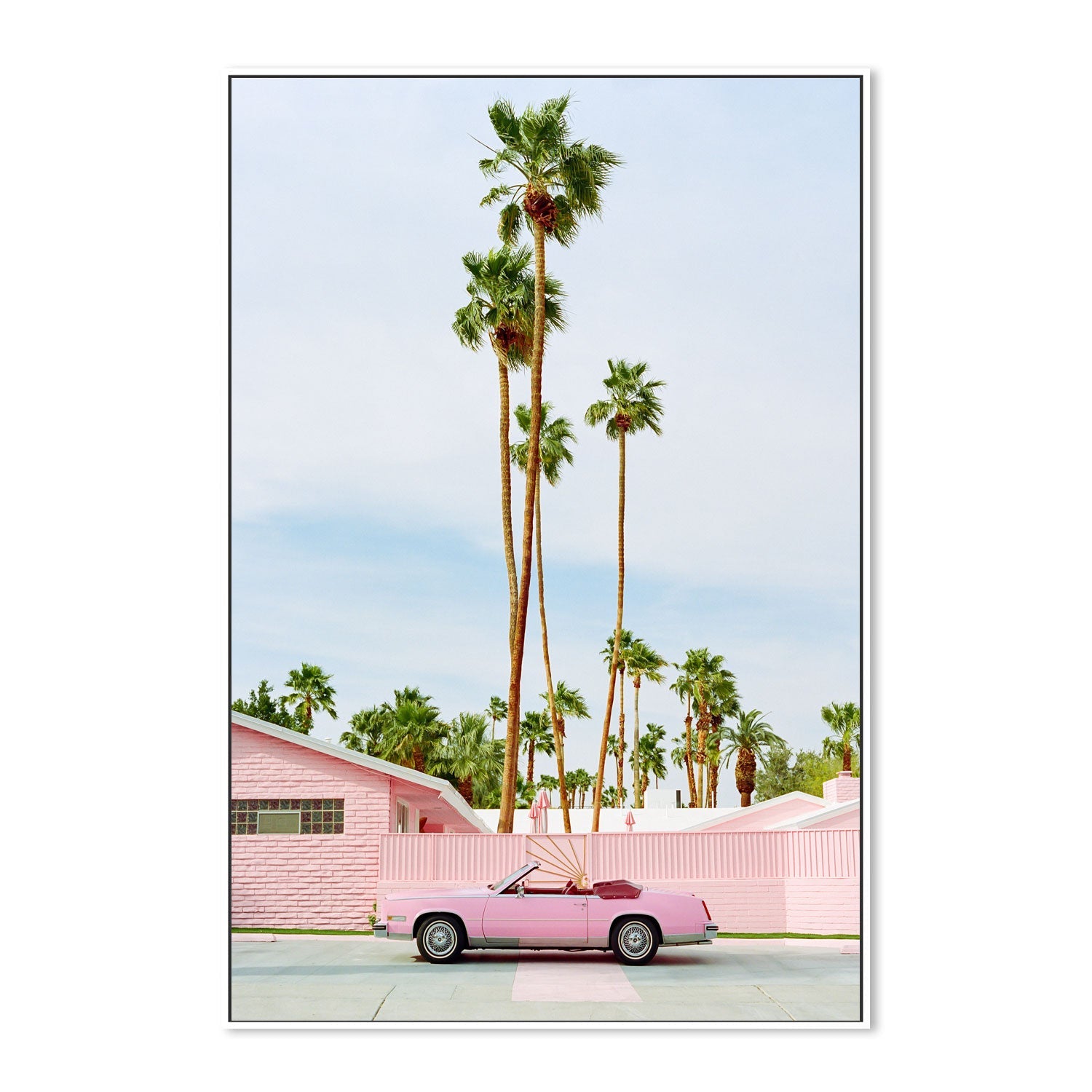 Pink Palm Springs , By Bethany Young