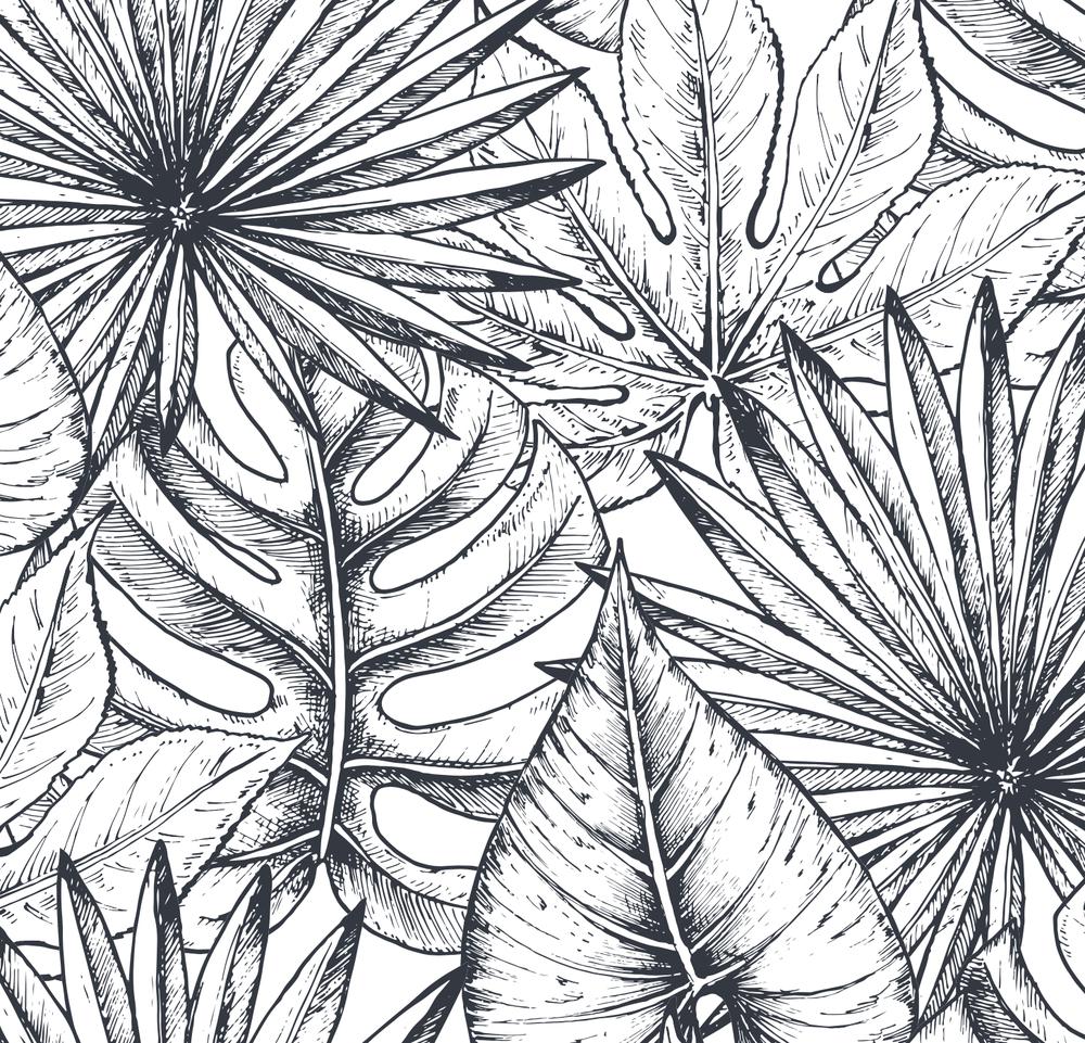 Sketched Botanicals-wallpaper-eco-friendly-easy-removal-GIOIA-WALL-ART