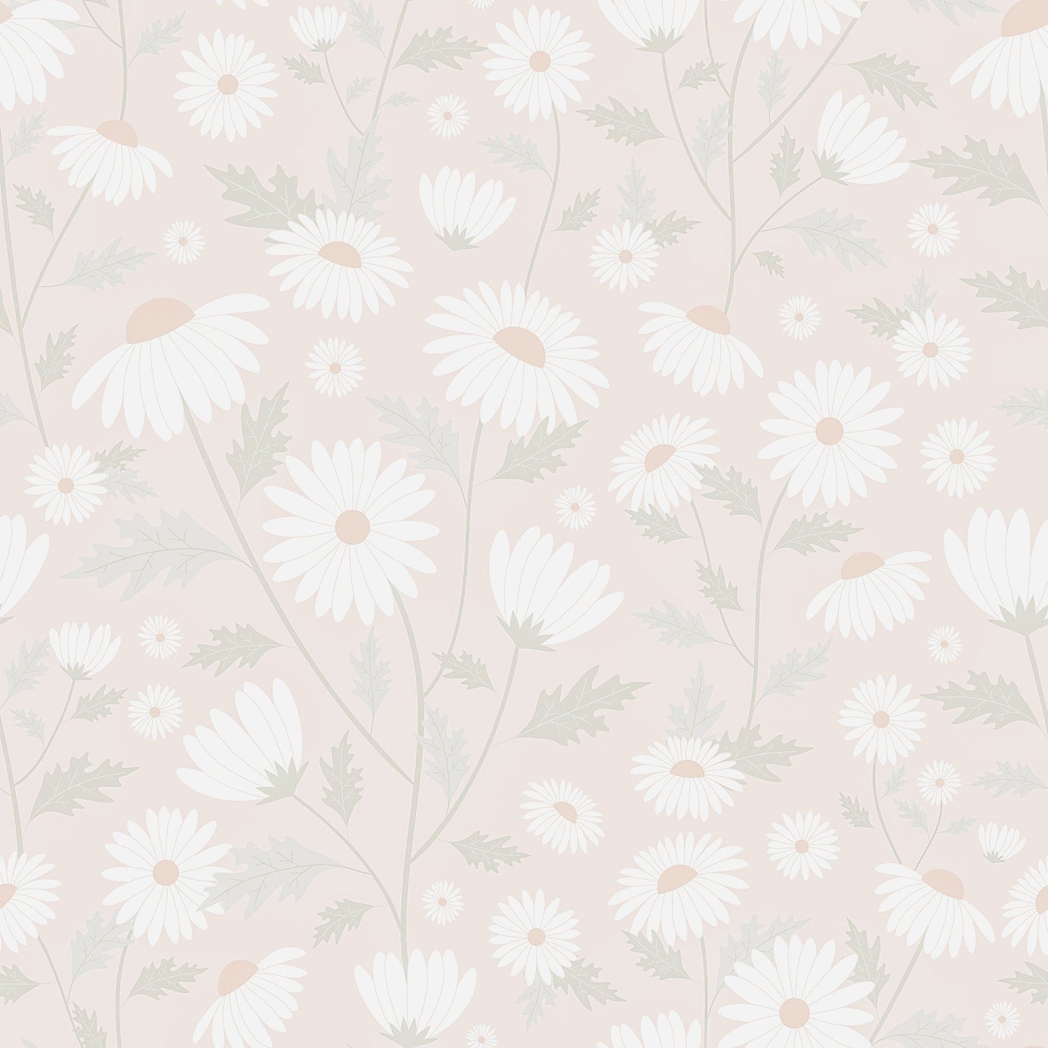 Soft Daisy Wallpaper