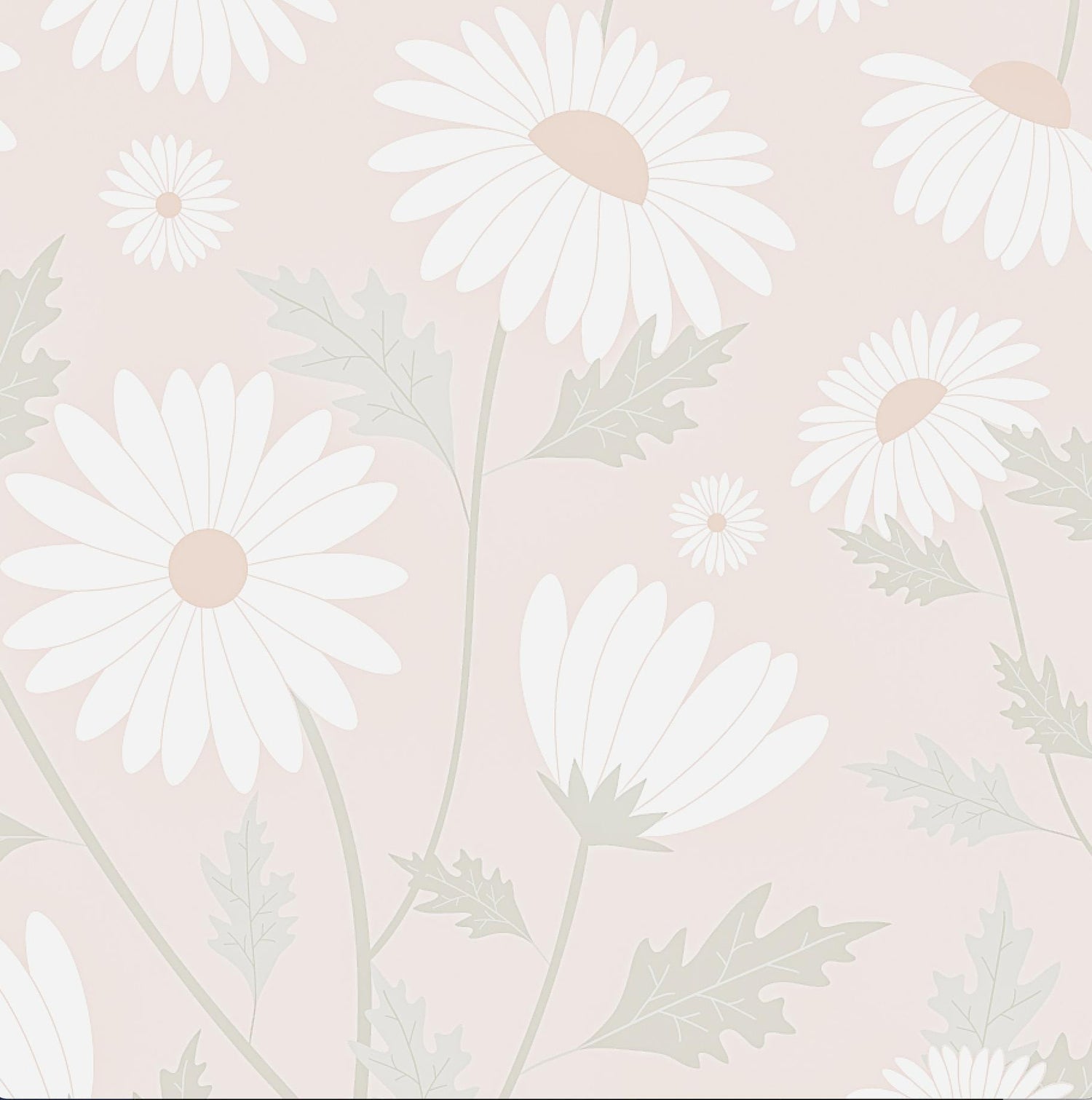 Soft Daisy Wallpaper