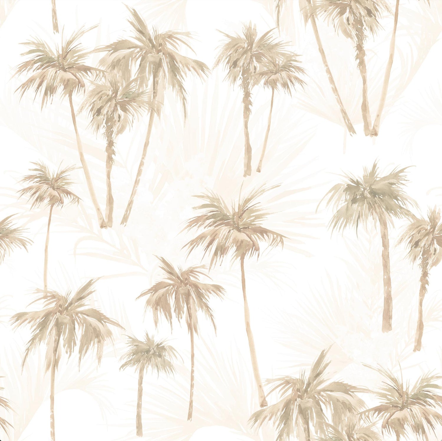 Soft Palm Trees Wallpaper