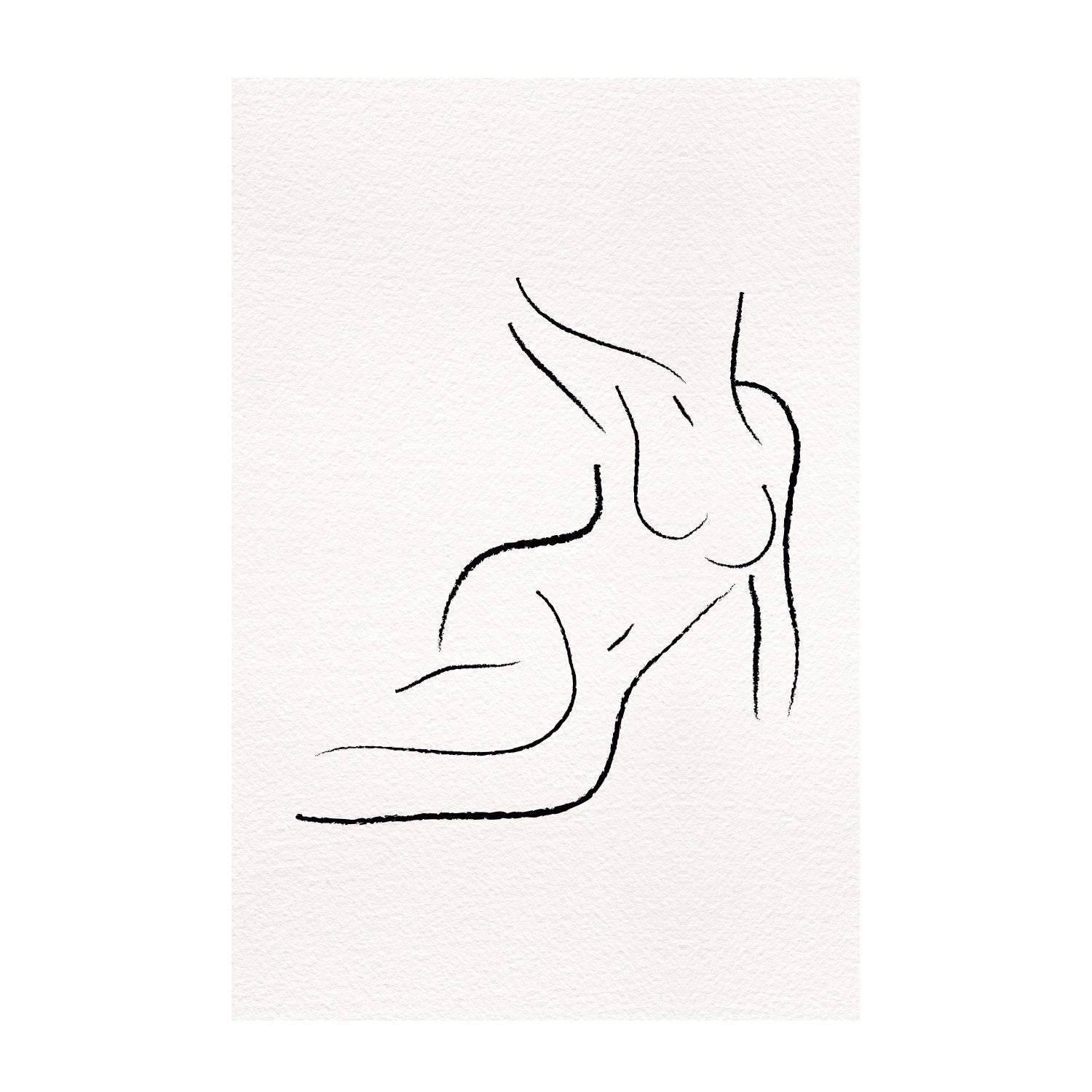 Nude Line Art, Set Of 2