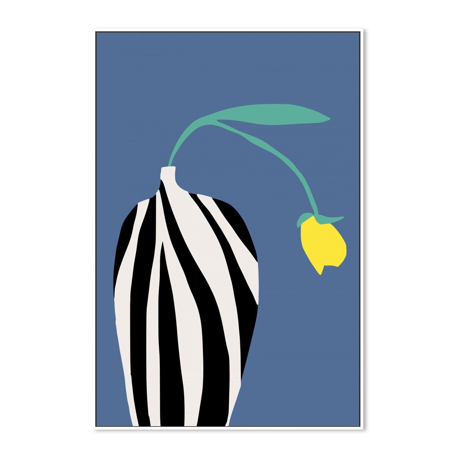 Tulip In Zebra Striped Vase , By Little Dean