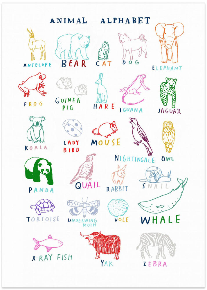 wall-art-print-canvas-poster-framed-Animal Alphabet , By Hanna Melin-1