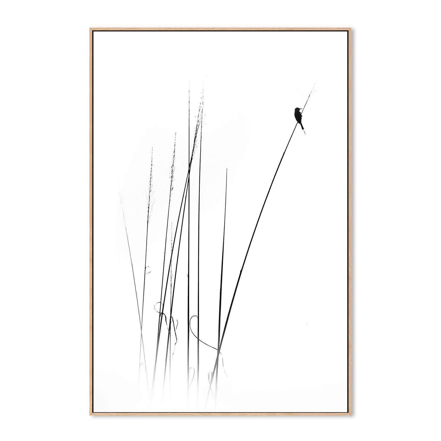 wall-art-print-canvas-poster-framed-A Sabbatical, by Swapnil-by-Plus X Studio-Gioia Wall Art