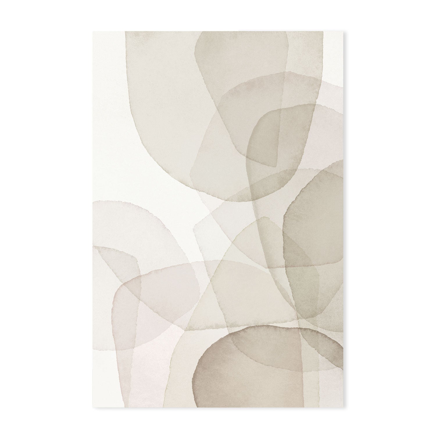 wall-art-print-canvas-poster-framed-Abstract White Petal-by-Dear Musketeer Studio-Gioia Wall Art