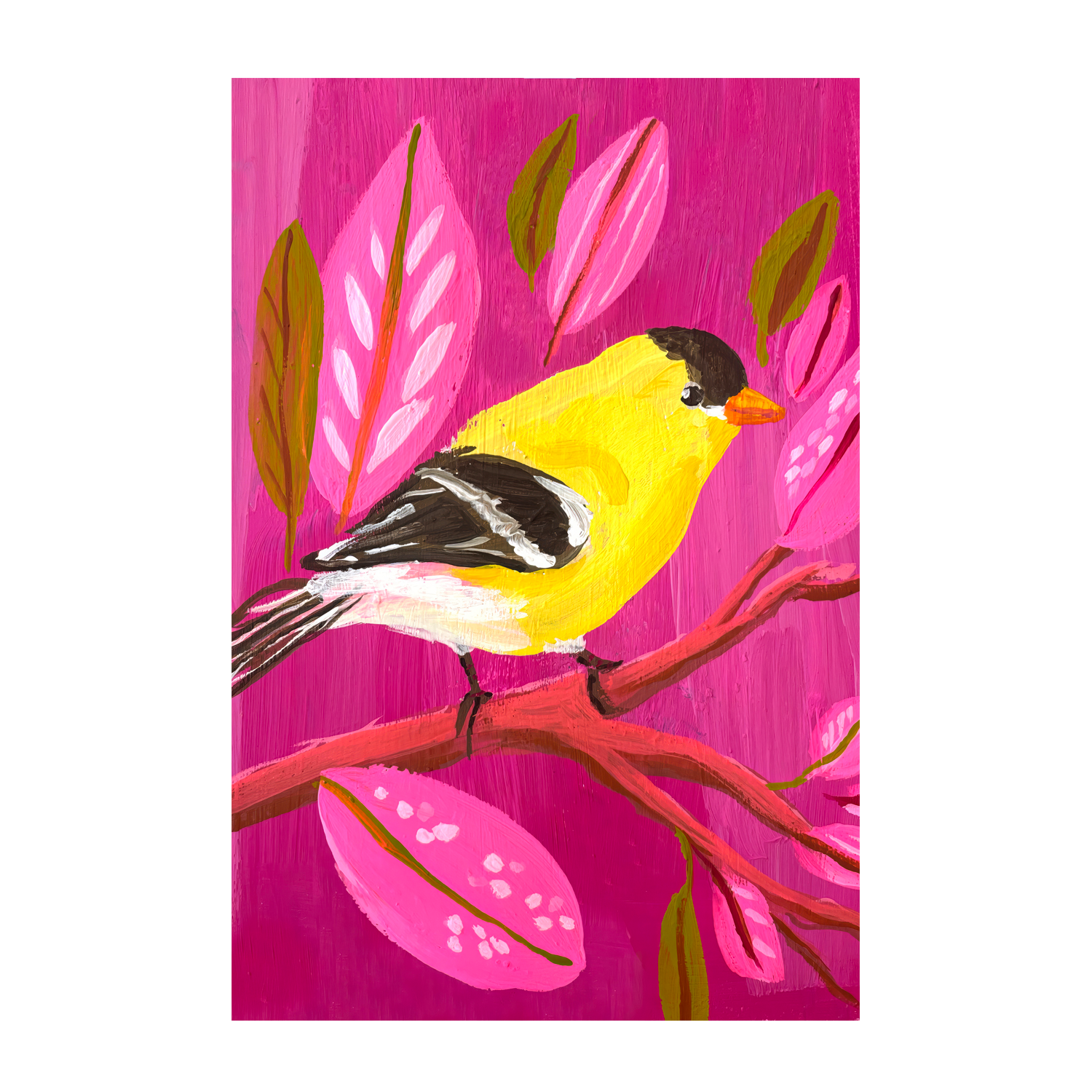 wall-art-print-canvas-poster-framed-American Goldfinch , By Kelly Angelovic-1