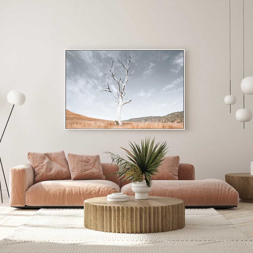 wall-art-print-canvas-poster-framed-Ancient Tree , By Kellie Morris-GIOIA-WALL-ART