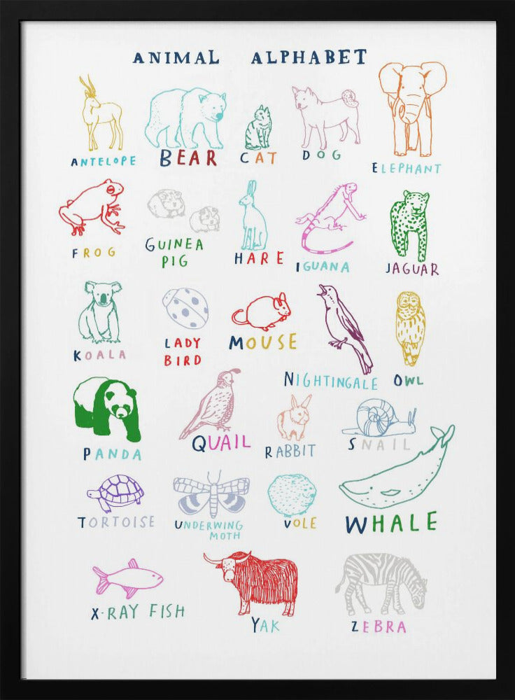 wall-art-print-canvas-poster-framed-Animal Alphabet , By Hanna Melin-3