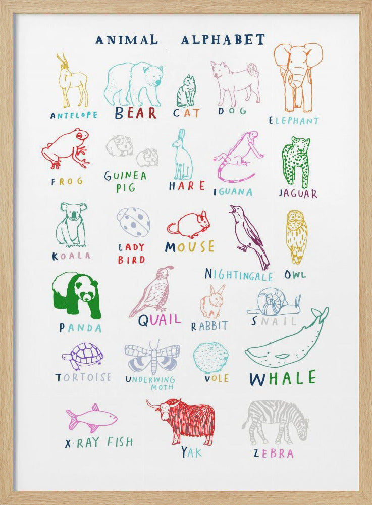 wall-art-print-canvas-poster-framed-Animal Alphabet , By Hanna Melin-4