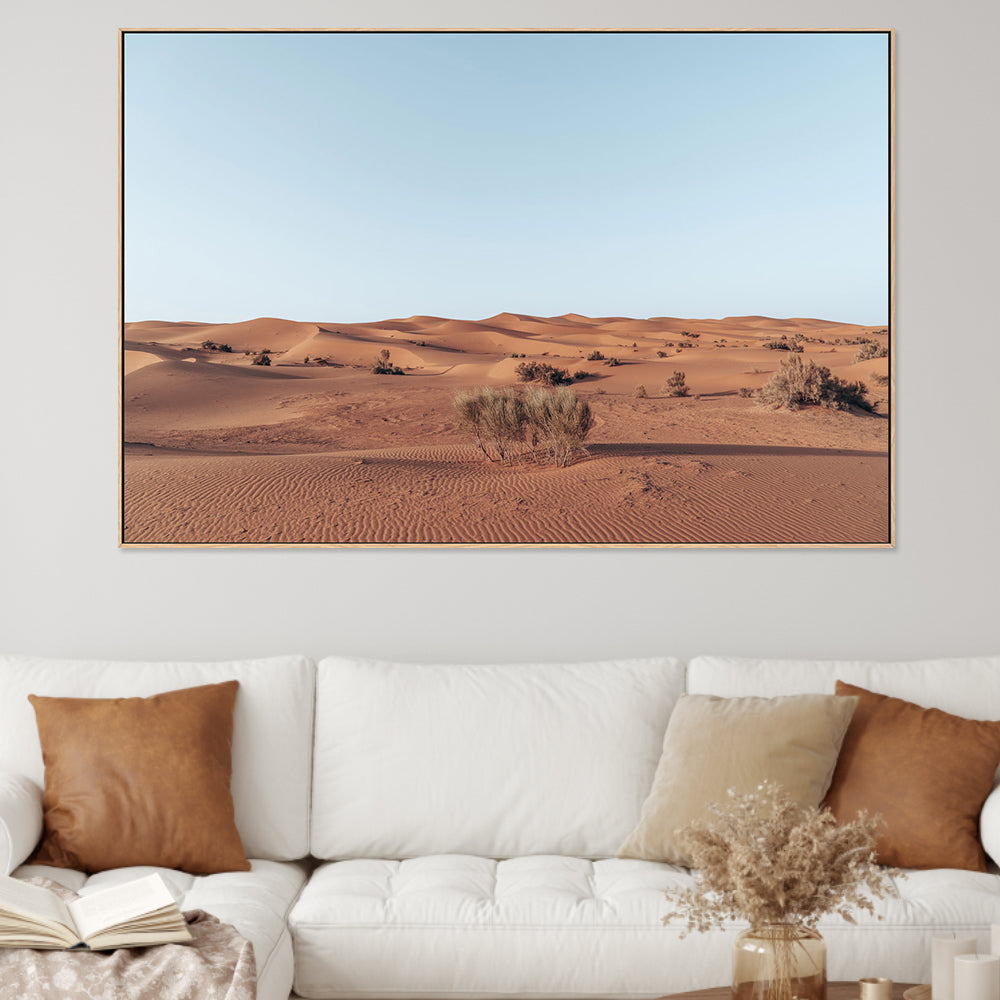 wall-art-print-canvas-poster-framed-Arid Beauty , By Josh Silver-2