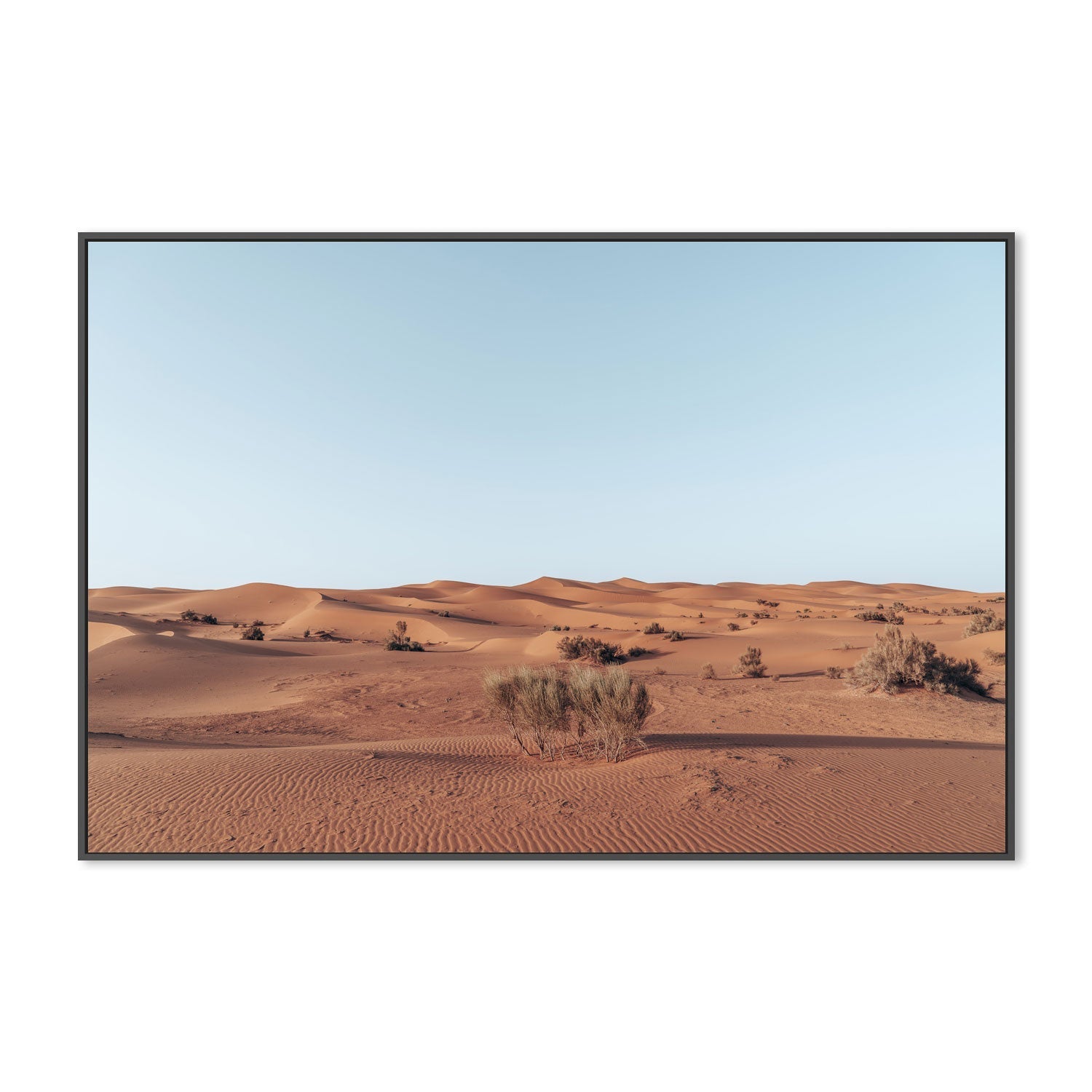 wall-art-print-canvas-poster-framed-Arid Beauty , By Josh Silver-3