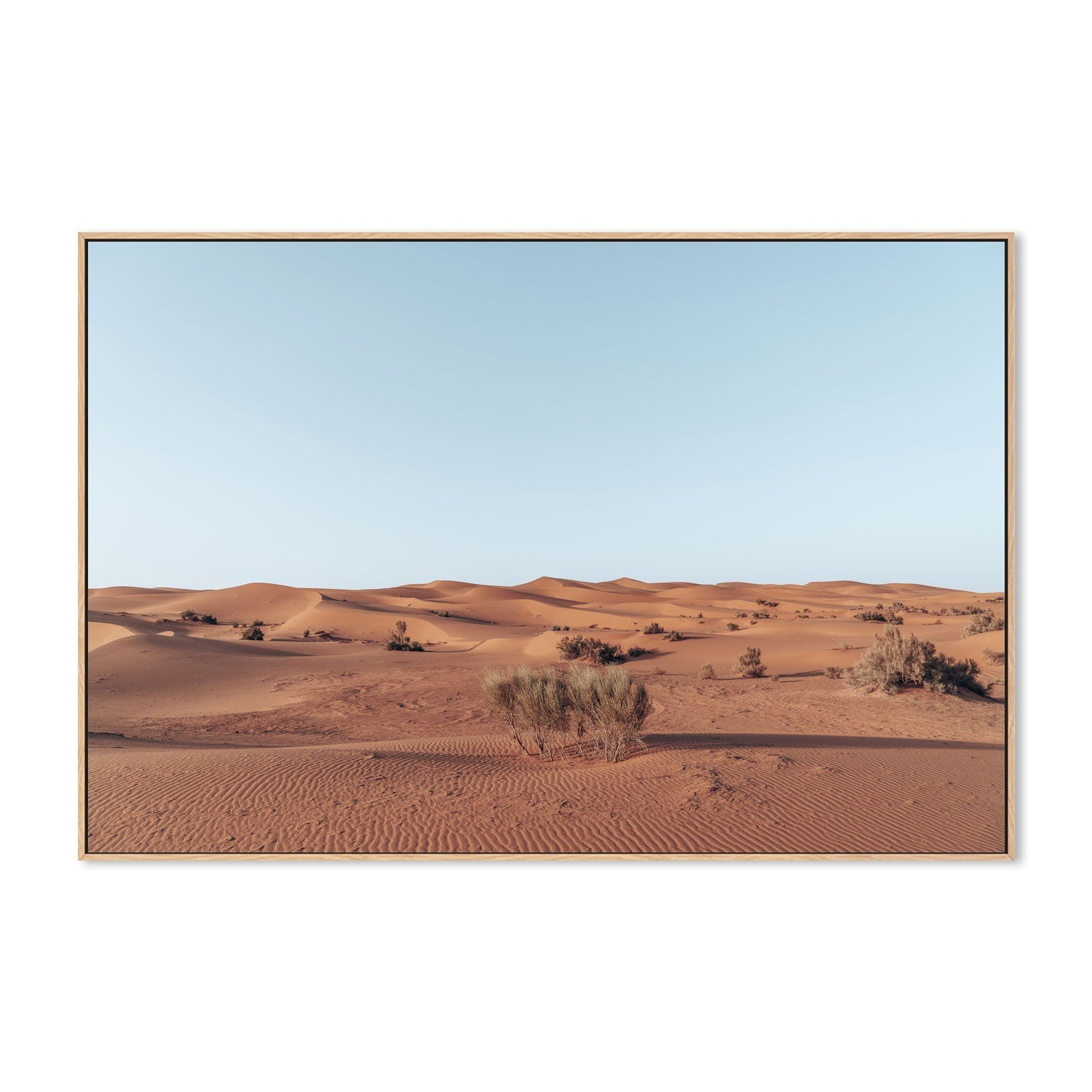 wall-art-print-canvas-poster-framed-Arid Beauty , By Josh Silver-4