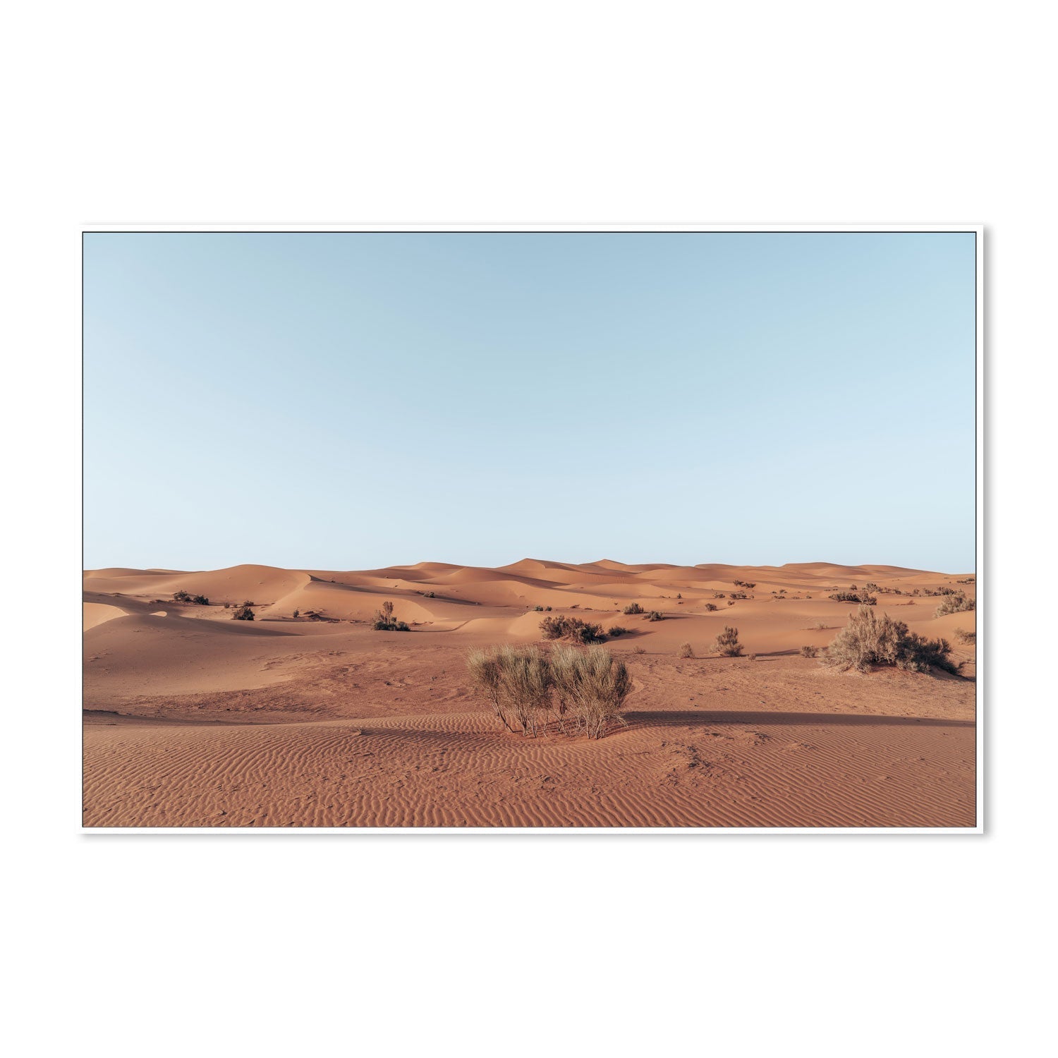 wall-art-print-canvas-poster-framed-Arid Beauty , By Josh Silver-5