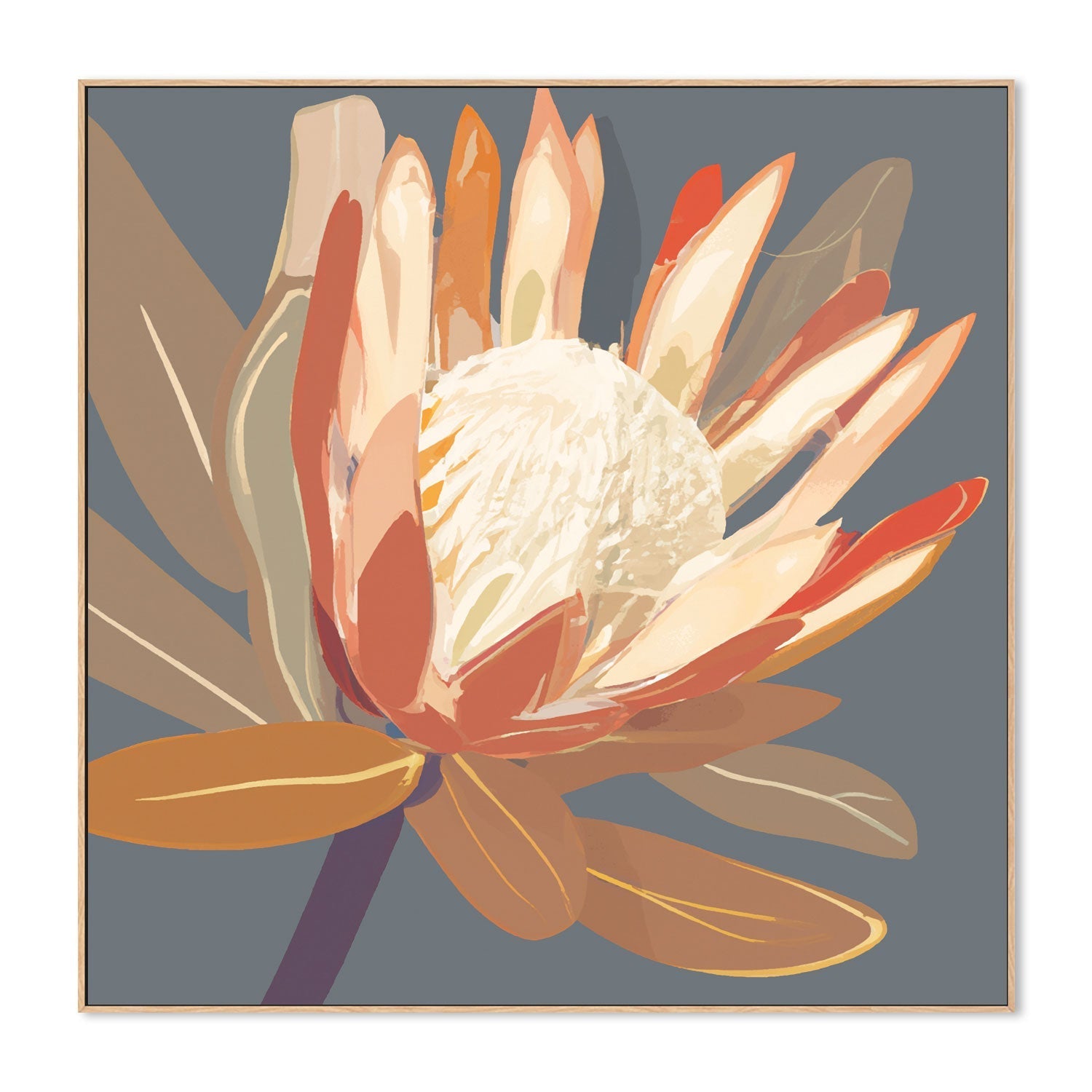 wall-art-print-canvas-poster-framed-Augusta Slate Protea , By Stacey Williams-4