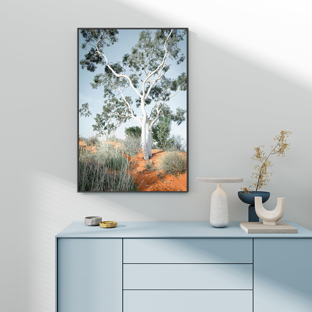 wall-art-print-canvas-poster-framed-Australian Gum Tree-GIOIA-WALL-ART