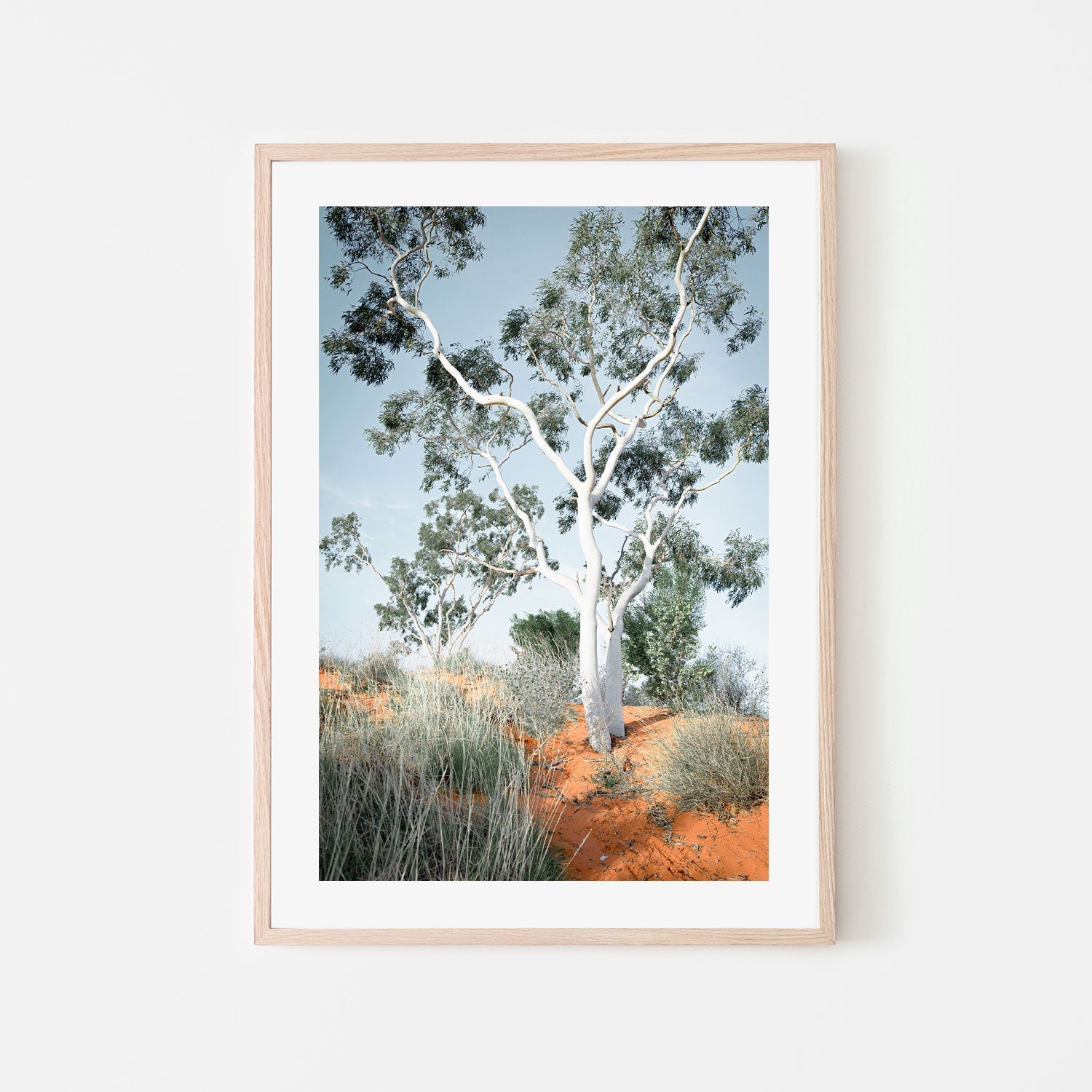 wall-art-print-canvas-poster-framed-Australian Gum Tree-GIOIA-WALL-ART