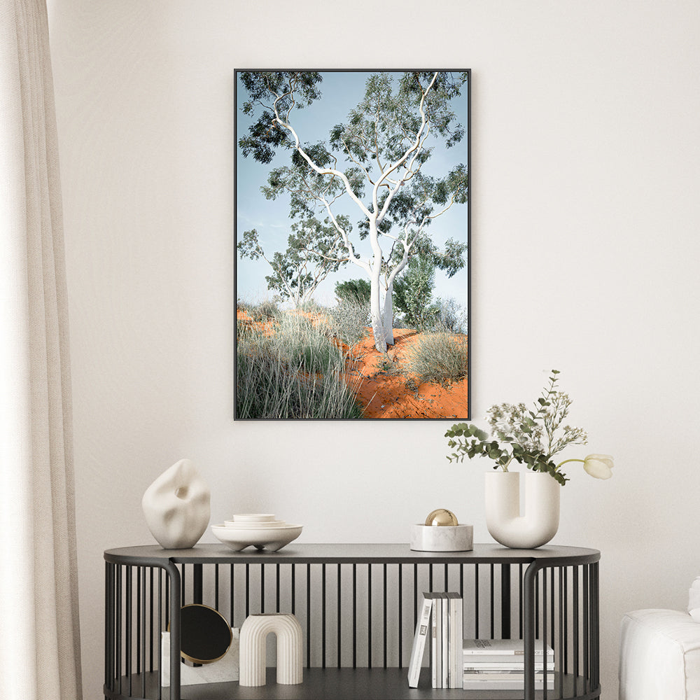 wall-art-print-canvas-poster-framed-Australian Gum Tree-GIOIA-WALL-ART