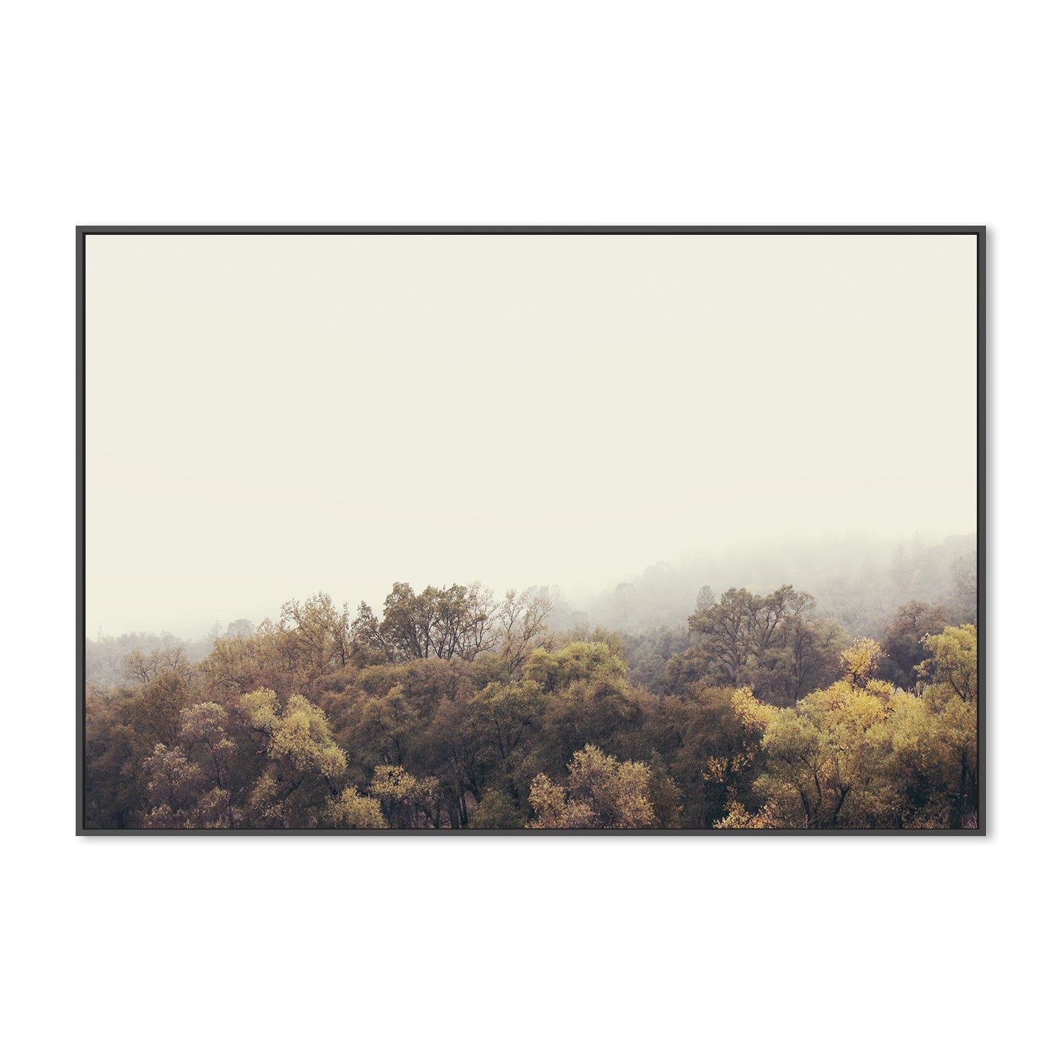 wall-art-print-canvas-poster-framed-Autumn Afternoons , By Hope Bainbridge-3