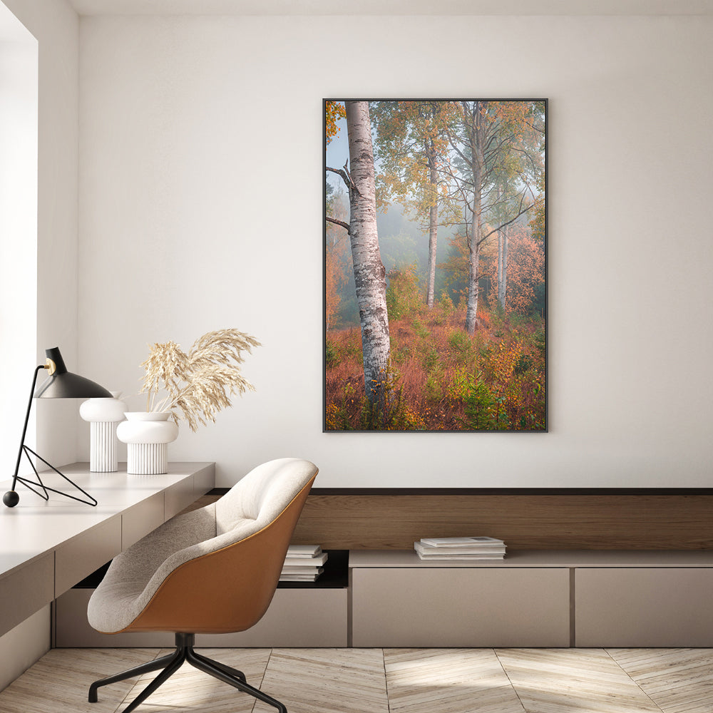 wall-art-print-canvas-poster-framed-Autumn Birchtrees , By Christian Lindsten-GIOIA-WALL-ART