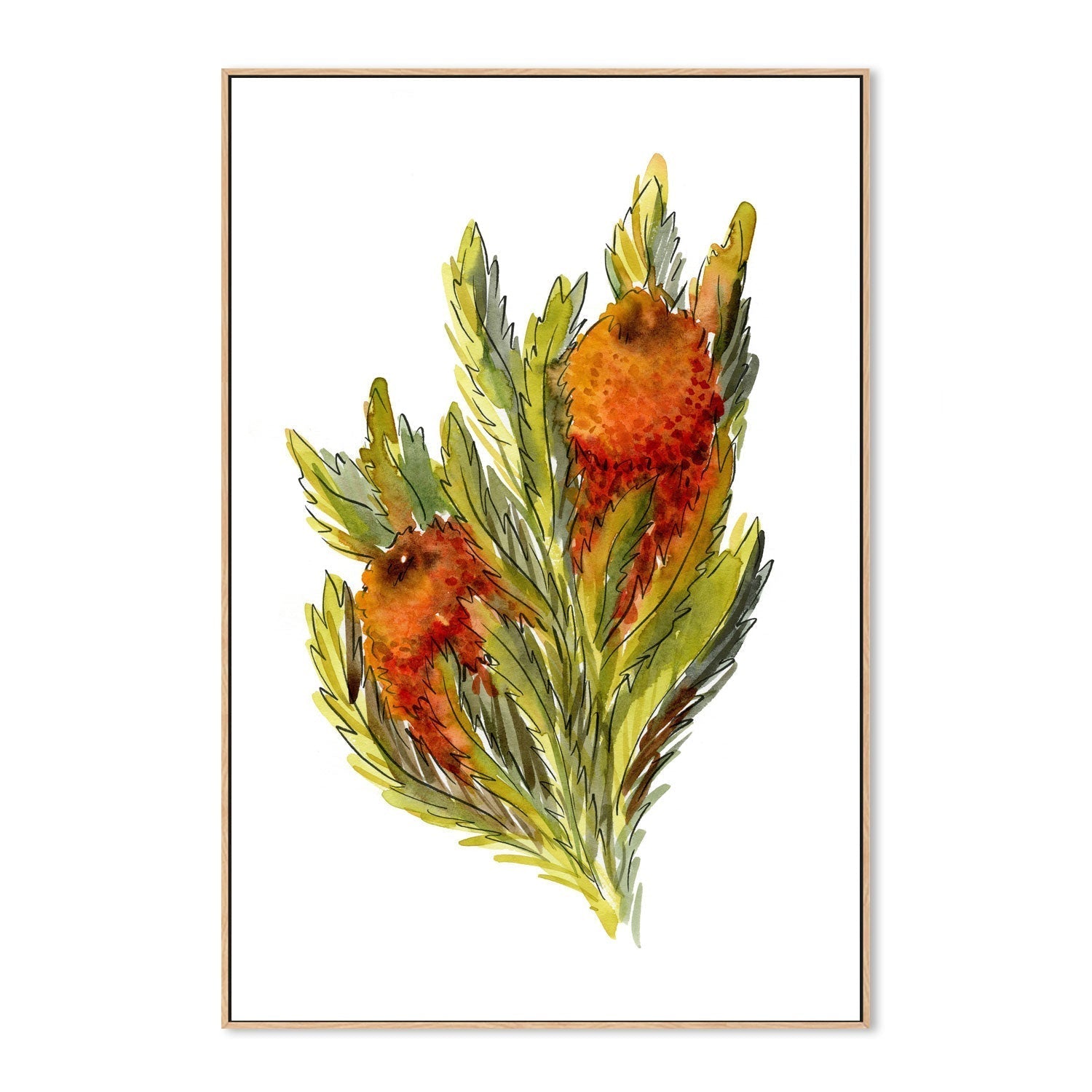 wall-art-print-canvas-poster-framed-Banksia Ashbyi , By Jessie Mitchelson-GIOIA-WALL-ART