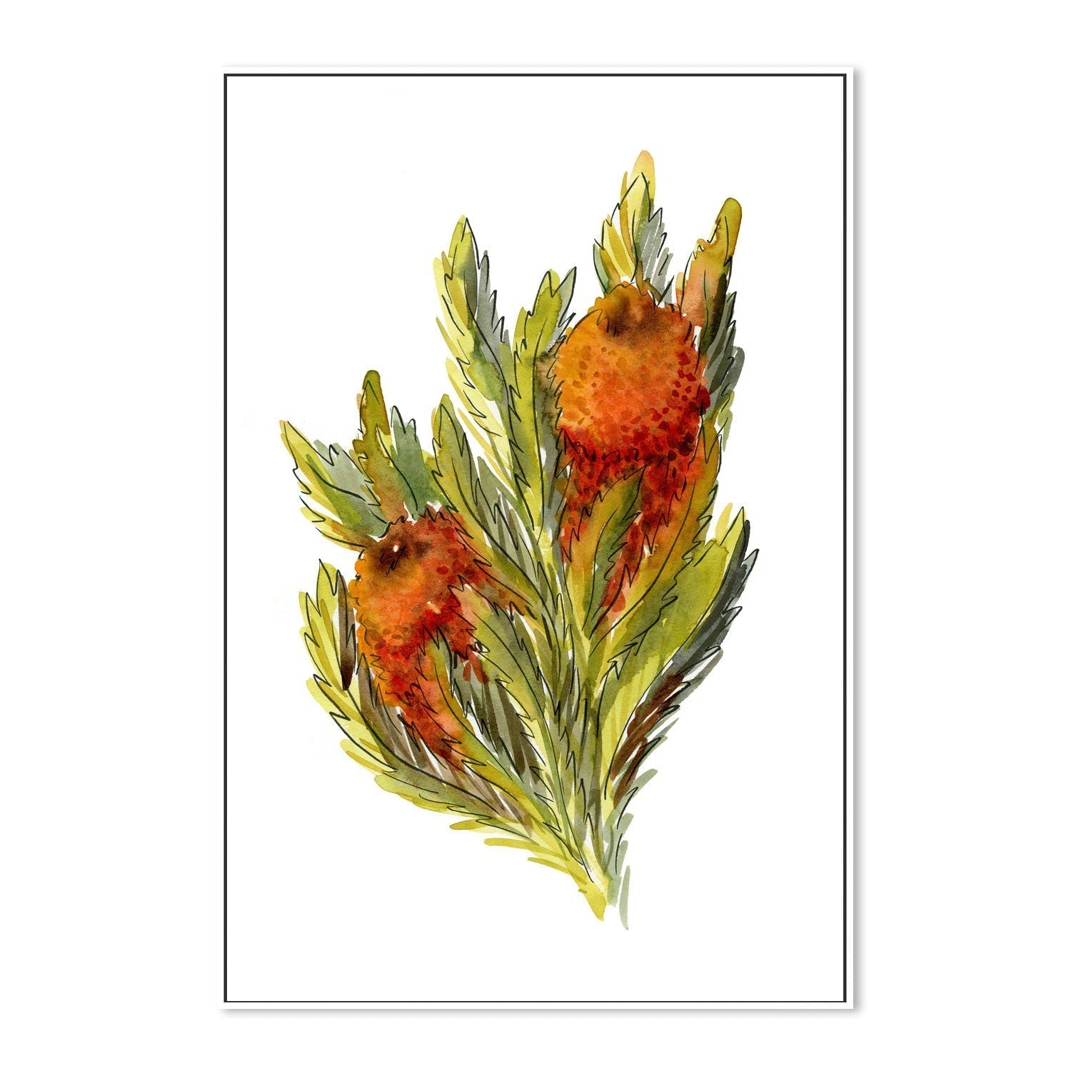 wall-art-print-canvas-poster-framed-Banksia Ashbyi , By Jessie Mitchelson-GIOIA-WALL-ART