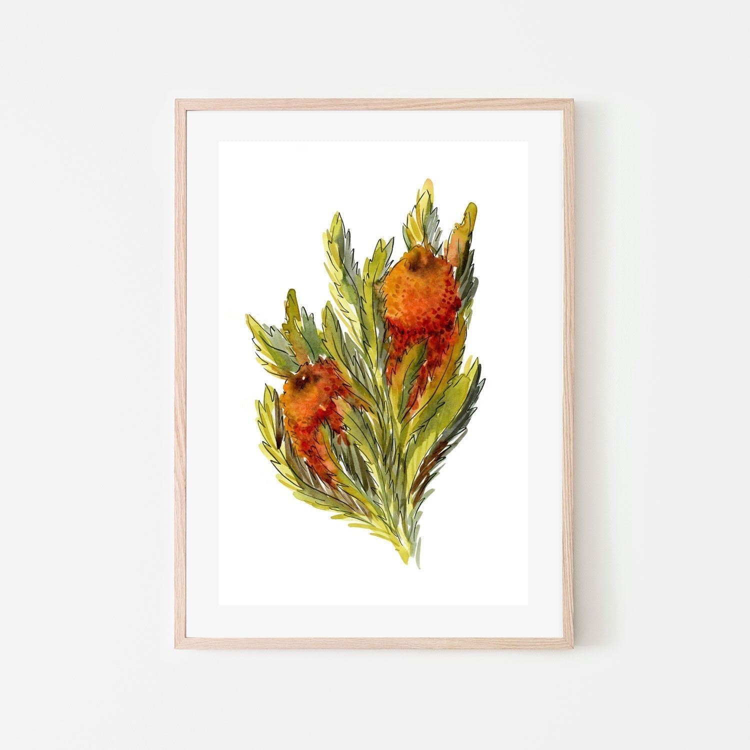 wall-art-print-canvas-poster-framed-Banksia Ashbyi , By Jessie Mitchelson-GIOIA-WALL-ART