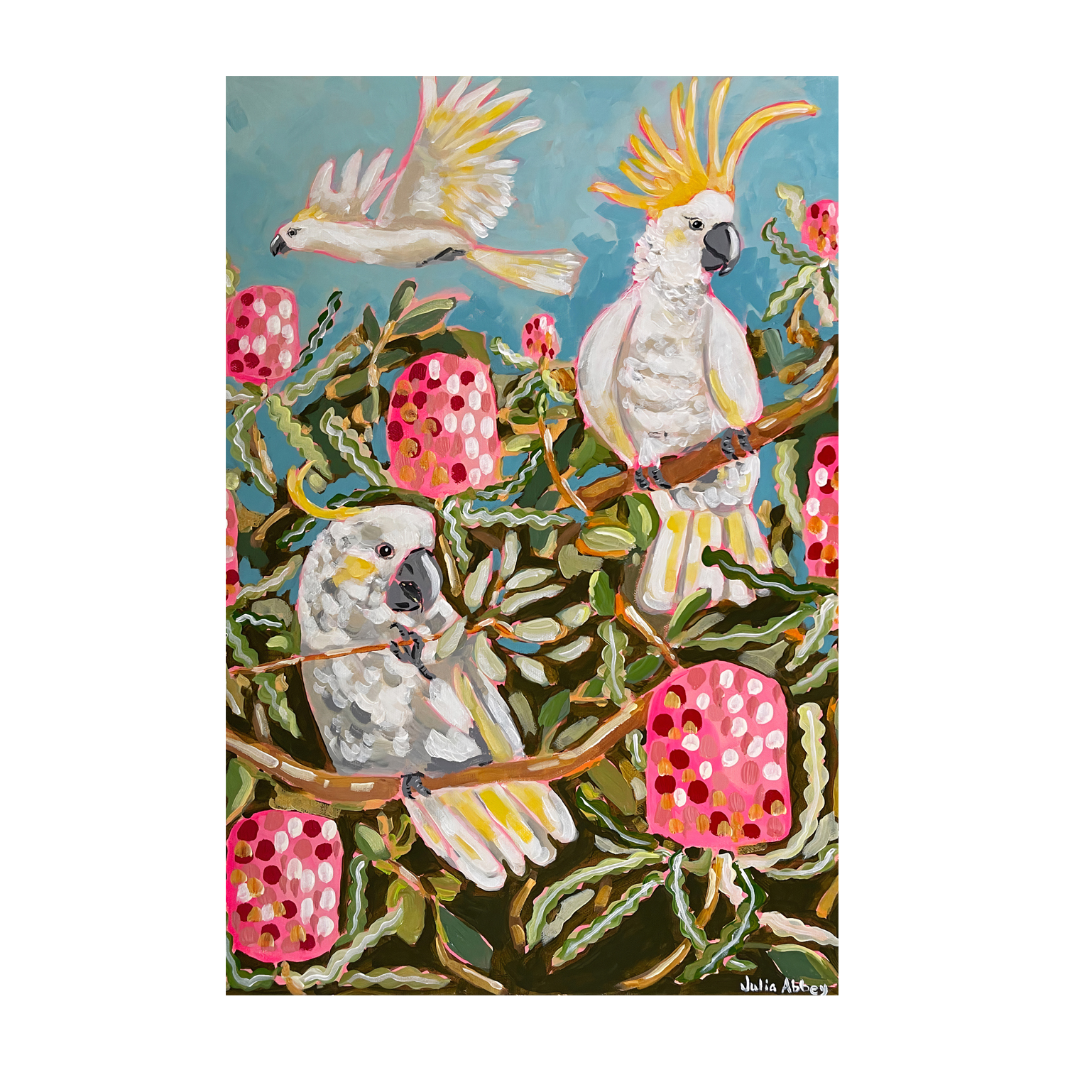 wall-art-print-canvas-poster-framed-Banksia Birds , By Julia Abbey-1