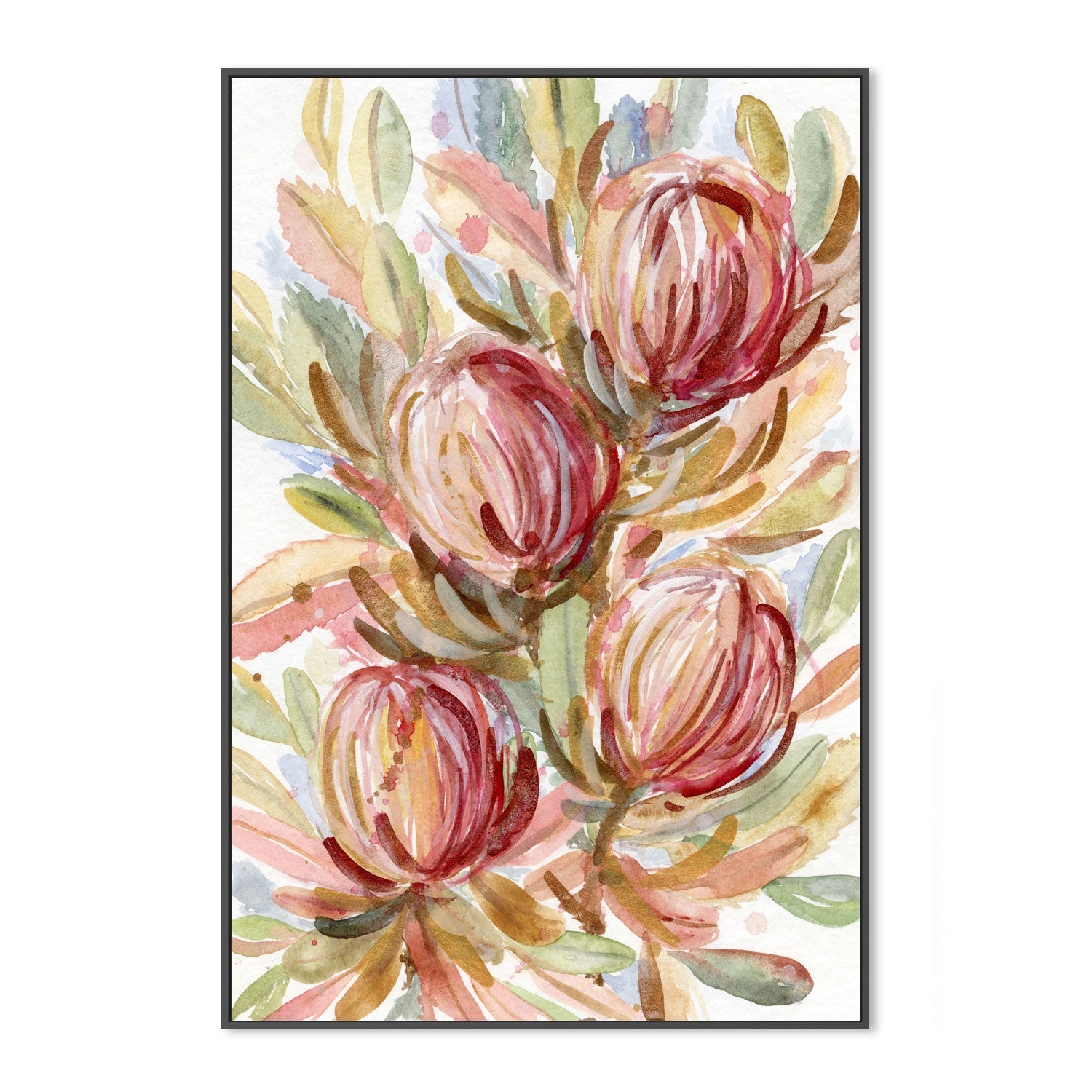 wall-art-print-canvas-poster-framed-Banksia Bunch , By Jessie Mitchelson-GIOIA-WALL-ART